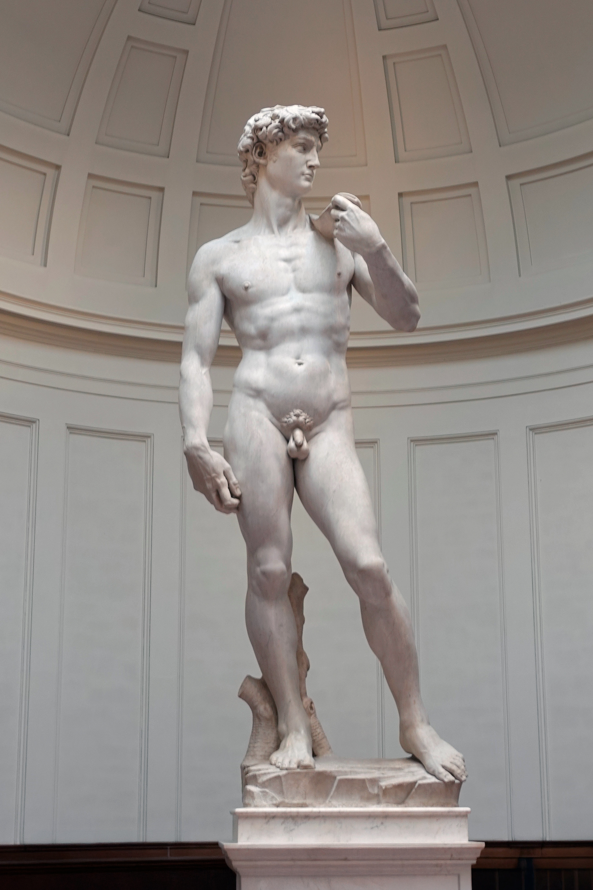 David, completed by Michelangelo in 1504, is one of the most renowned works of the Renaissance. It is housed in the Galleria dell'Accademia in Florence.