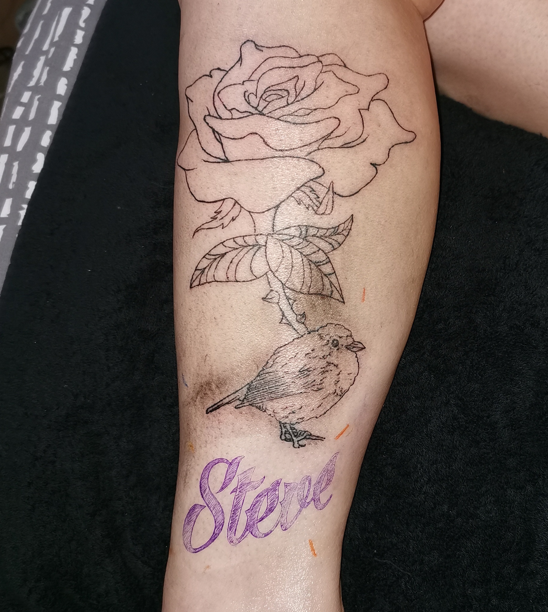 Robin outlined. The stencil wore off due to working from top to bottom. Lessons learned!
