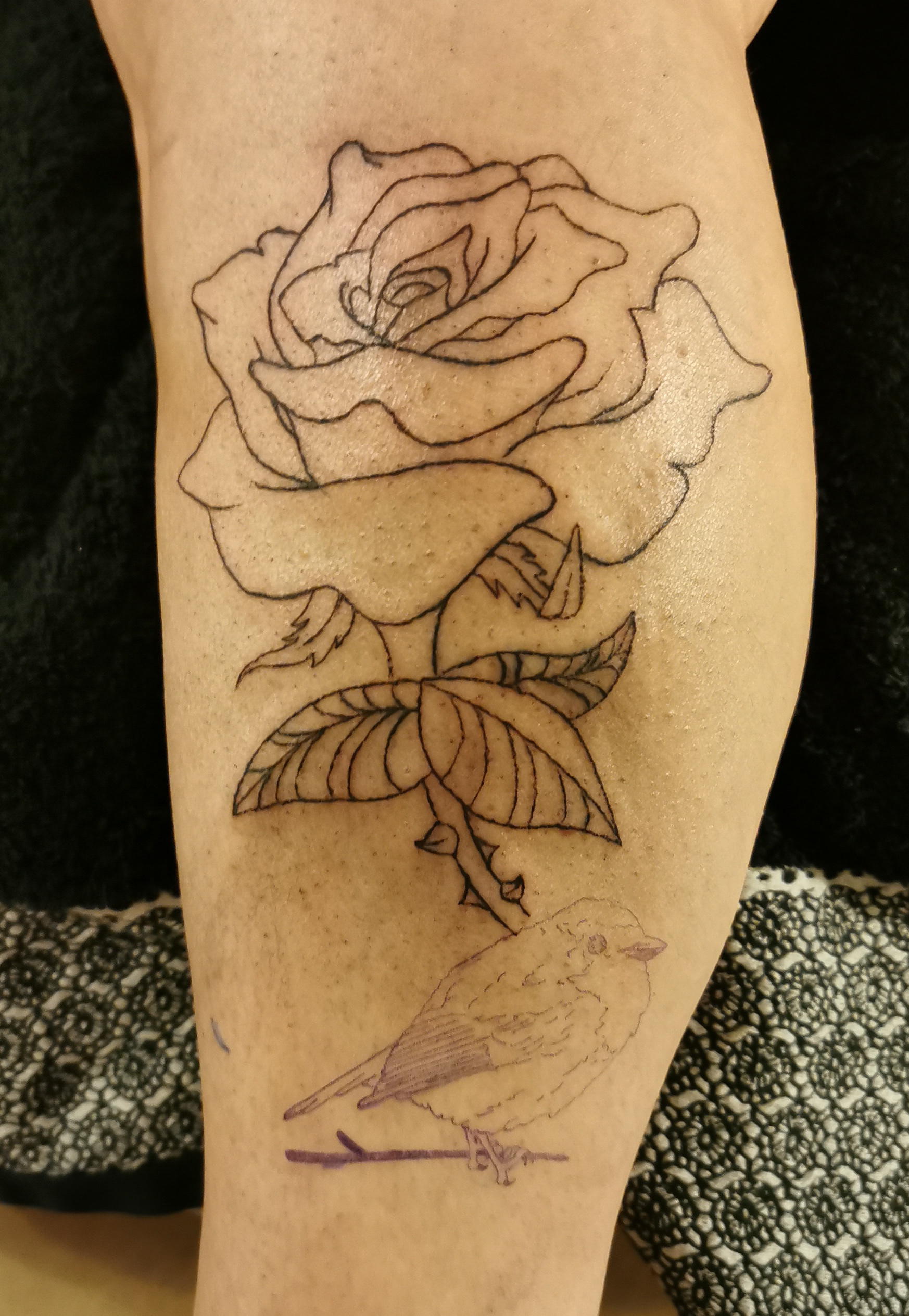 First outlines