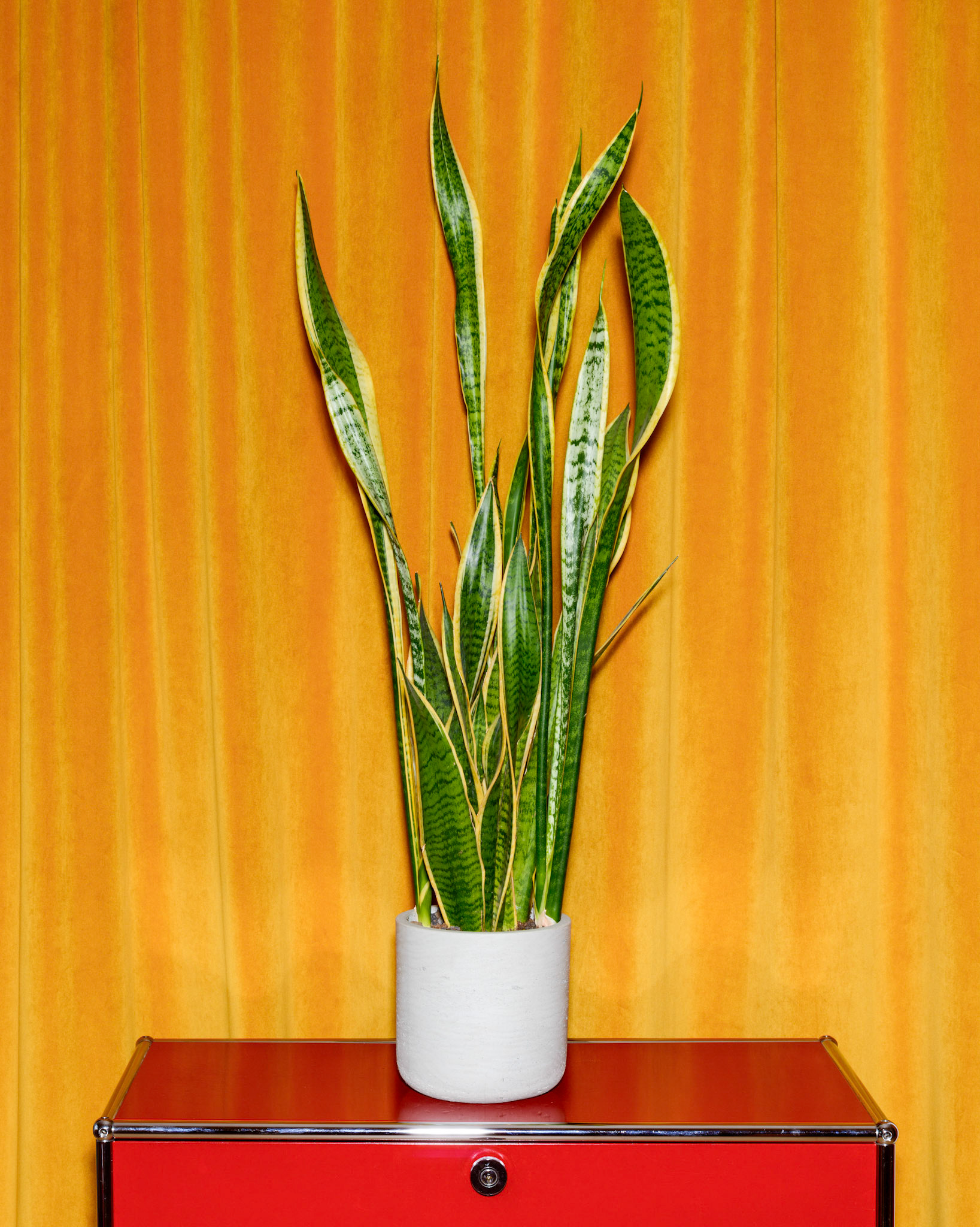 Lifestyle, Atmosphäre, Emotionen