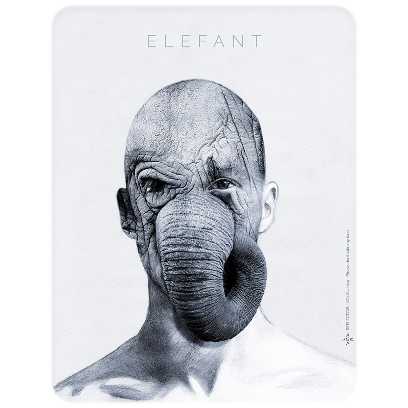 L’éléphant, celui qui… vous savez bien...
