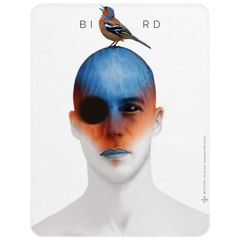 Attention, le petit oiseau est sorti