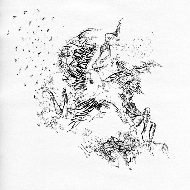 L'alchimiste (dessiné)