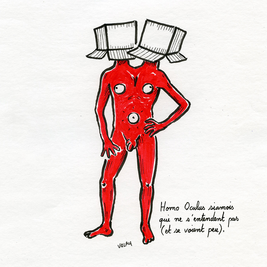Homo-Oculus siamois