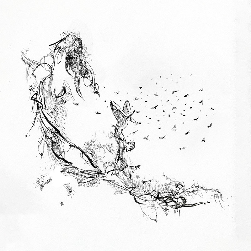 Acrobat (dessiné)