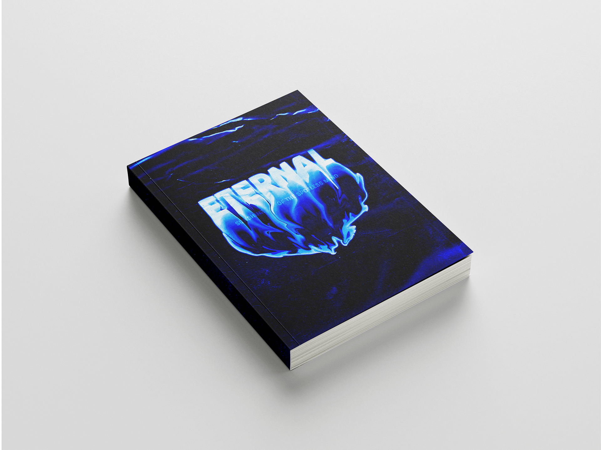 Eternal Sunshine of The Spotless Mind Book
