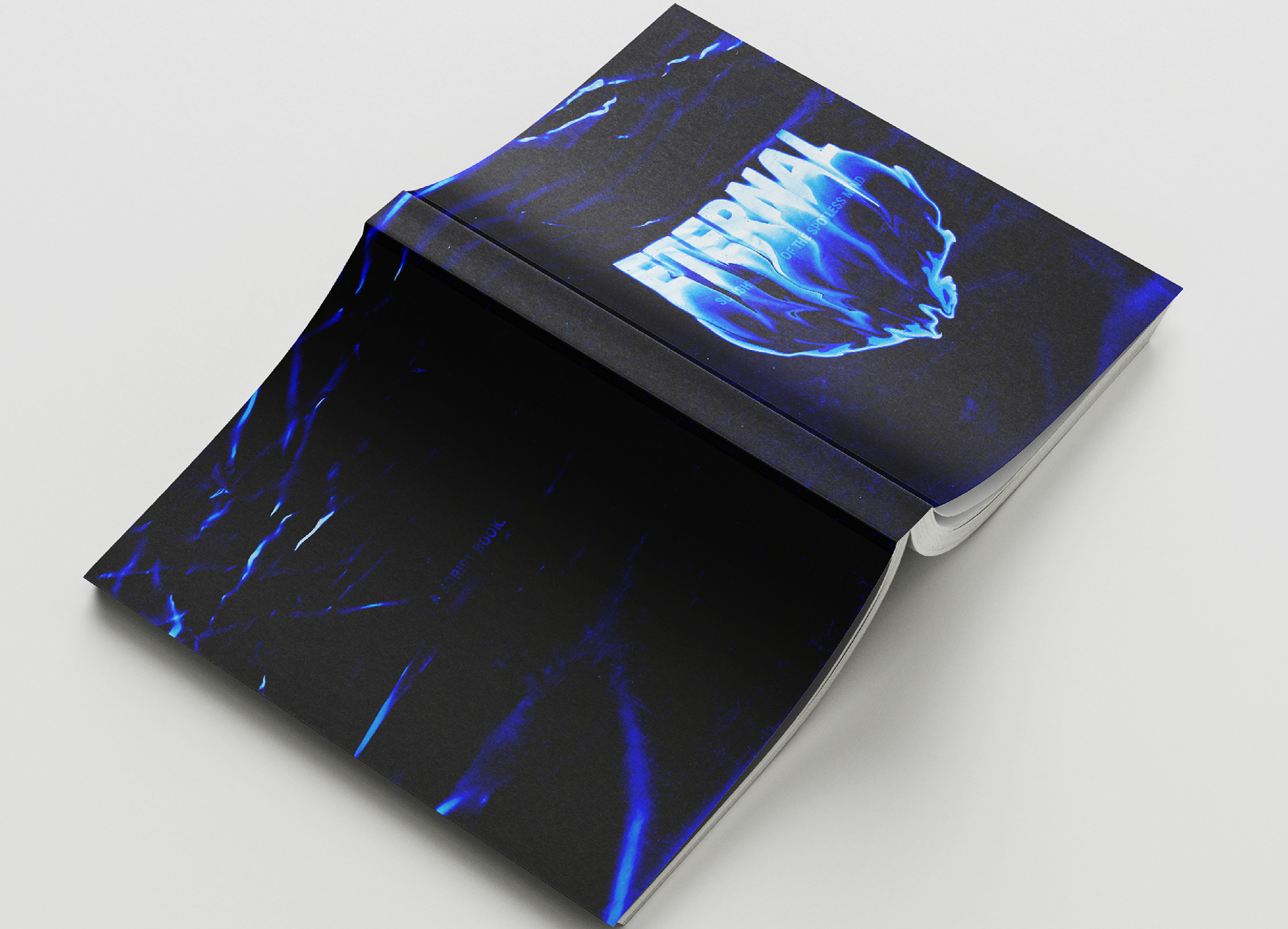 Eternal Sunshine of The Spotless Mind Book