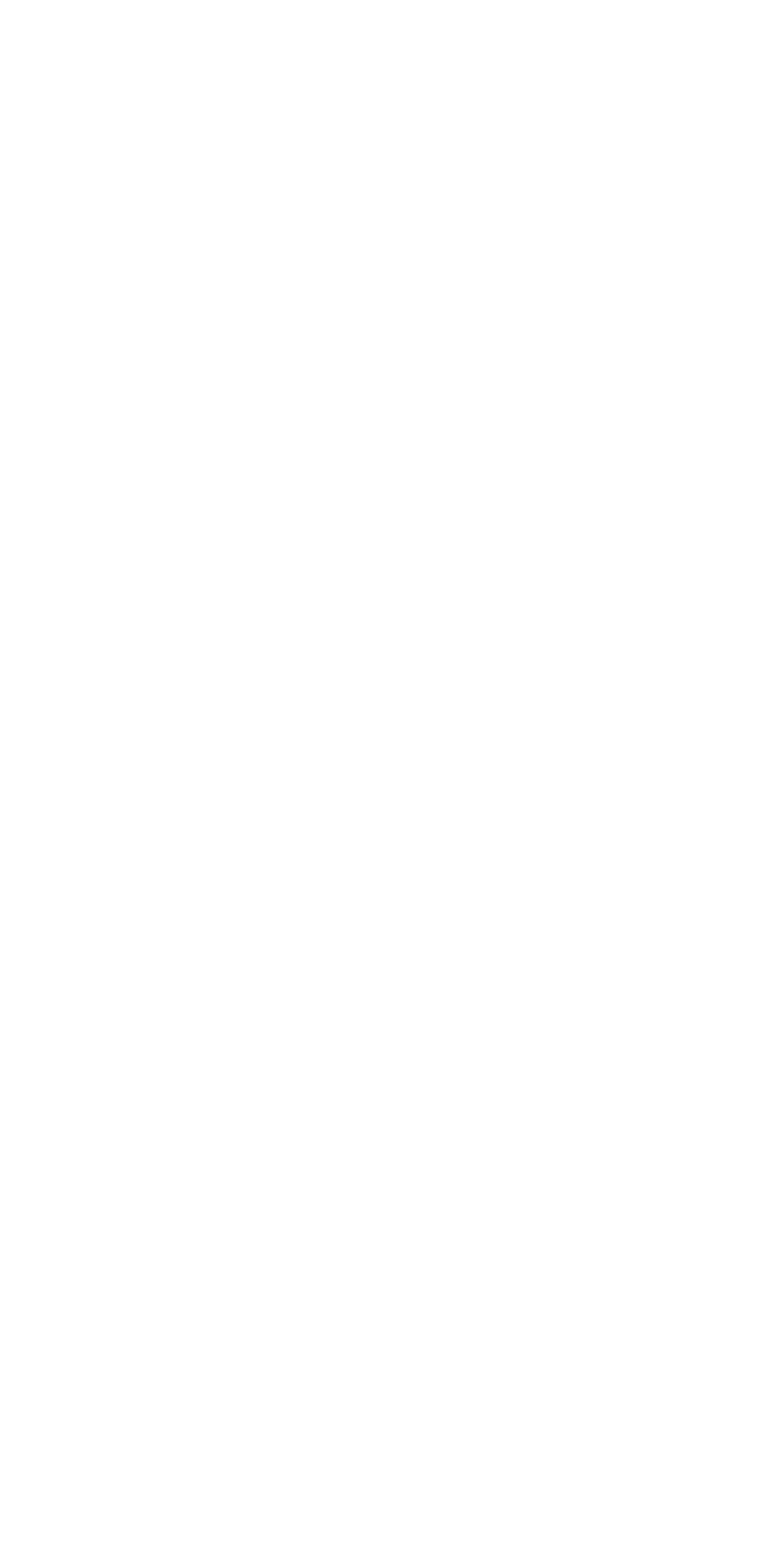 Logo Seby Palumbo