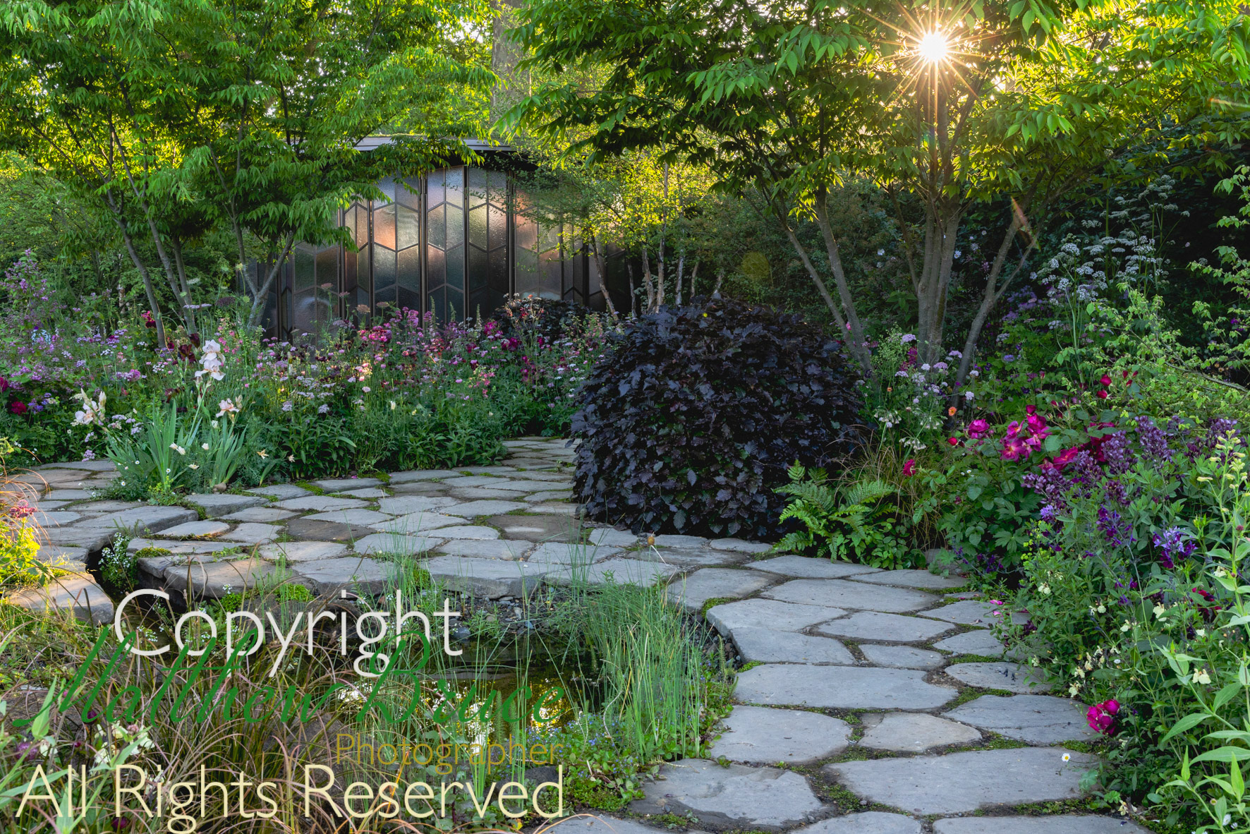 The Glasshouse Garden by Jo Thompson