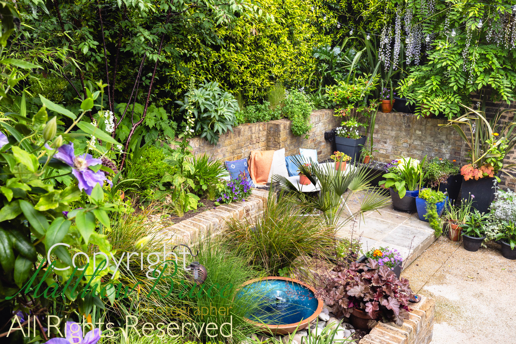 London suburban garden