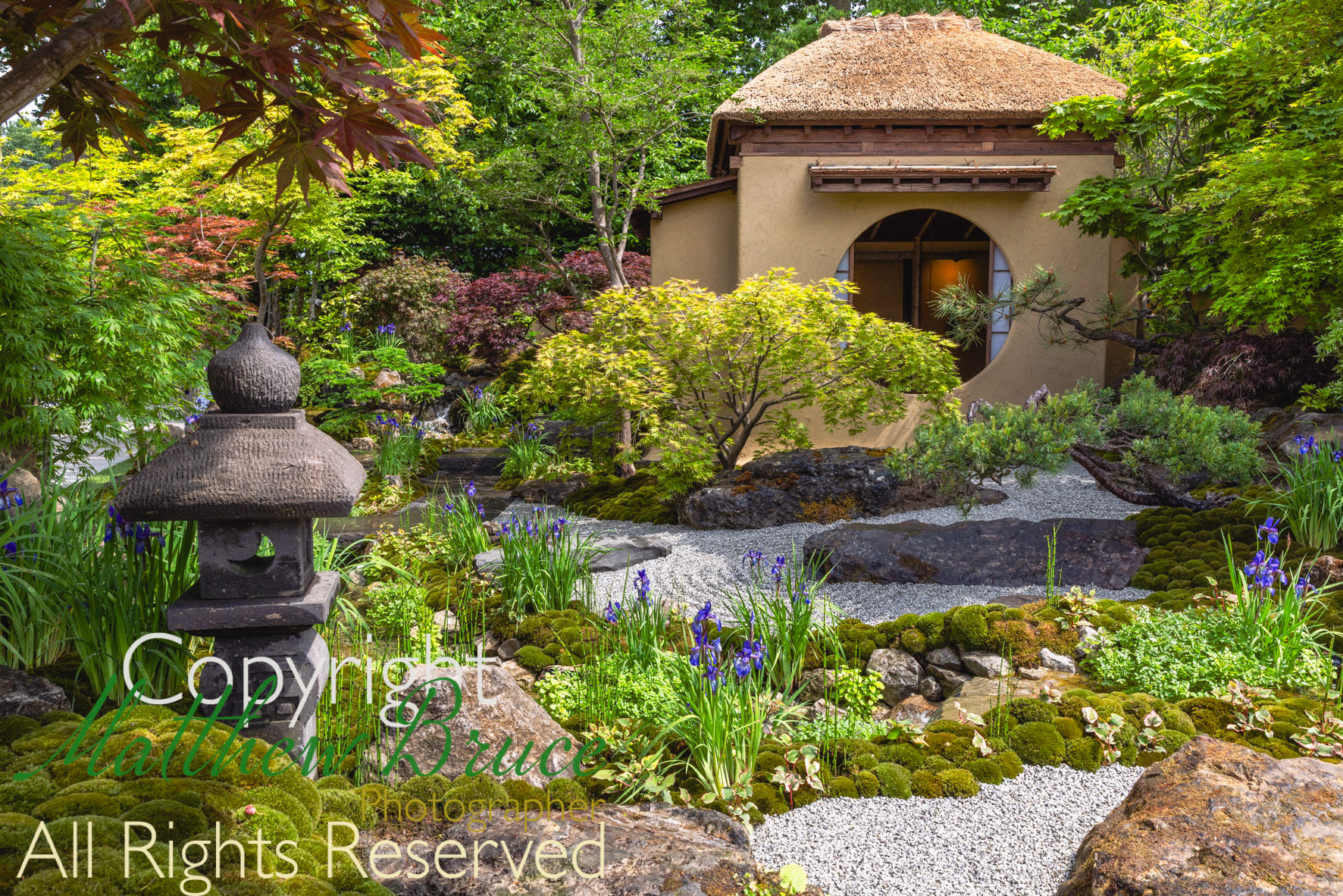 Cha no niwa - Japanese Tea Garden by Kazuyuki Ishihara.  RHS Chelsea Garden of the Year 2025