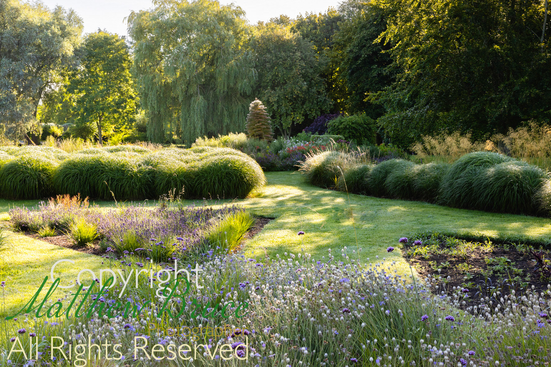 Oxfordshire water garden
