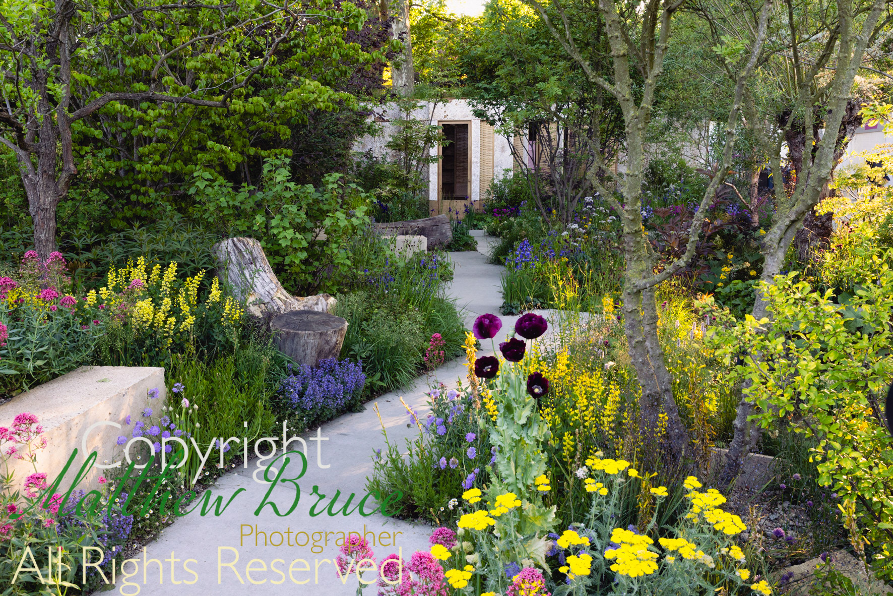 The Avanade Intelligent Garden by Tom Massey &  Je Ahn