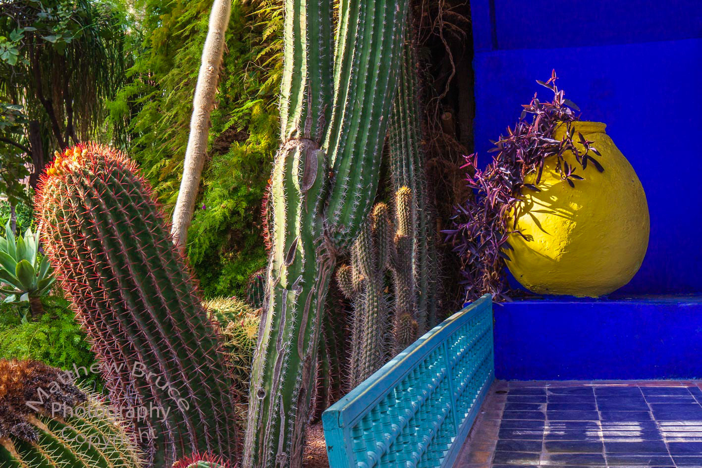 Jardin Majorelle, Marrakech