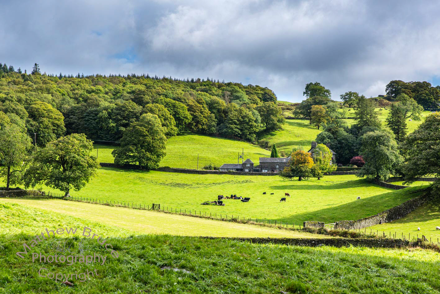 Rolling countryside in the Lake District