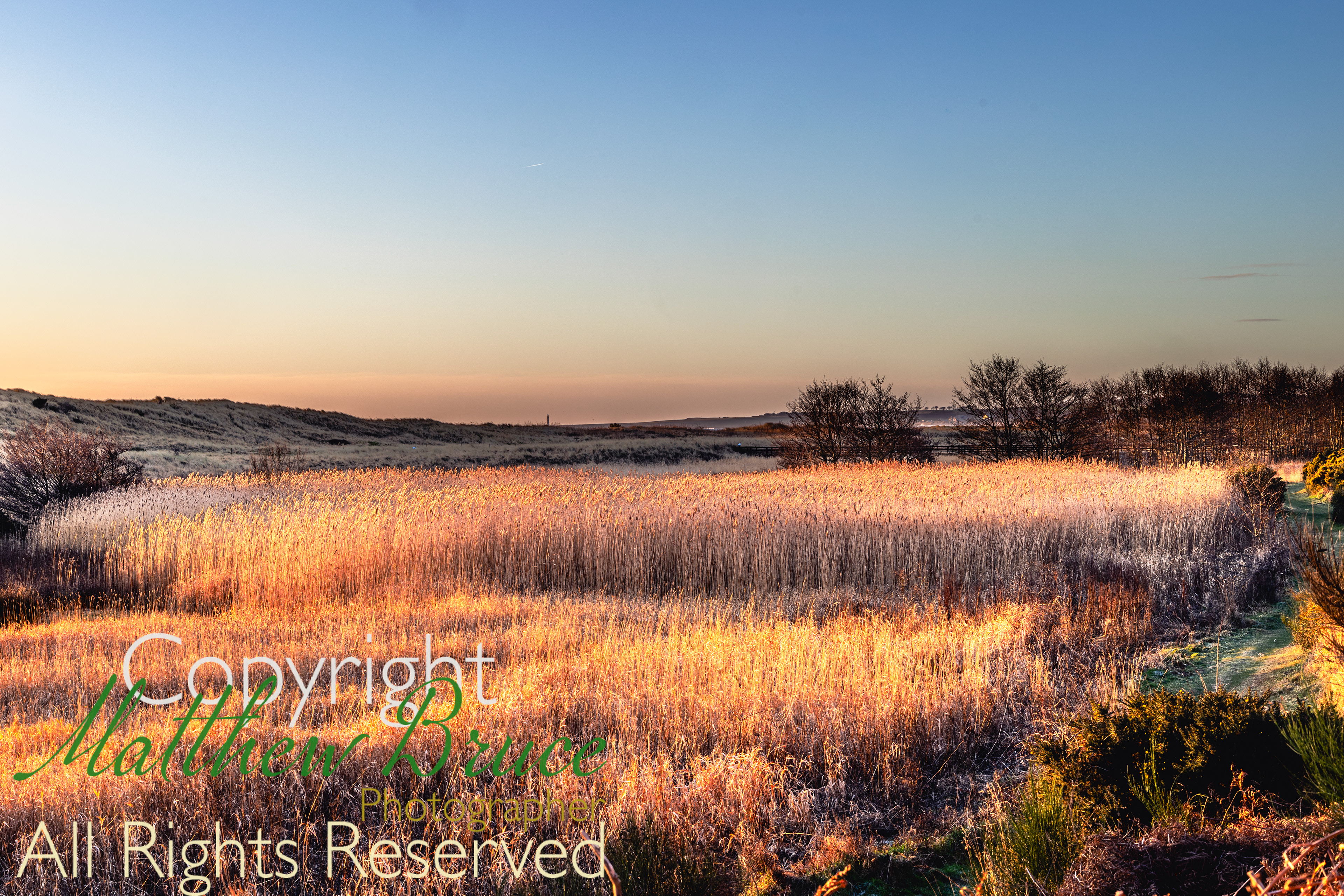 Winter landscape, St. Cyrus, Scotland