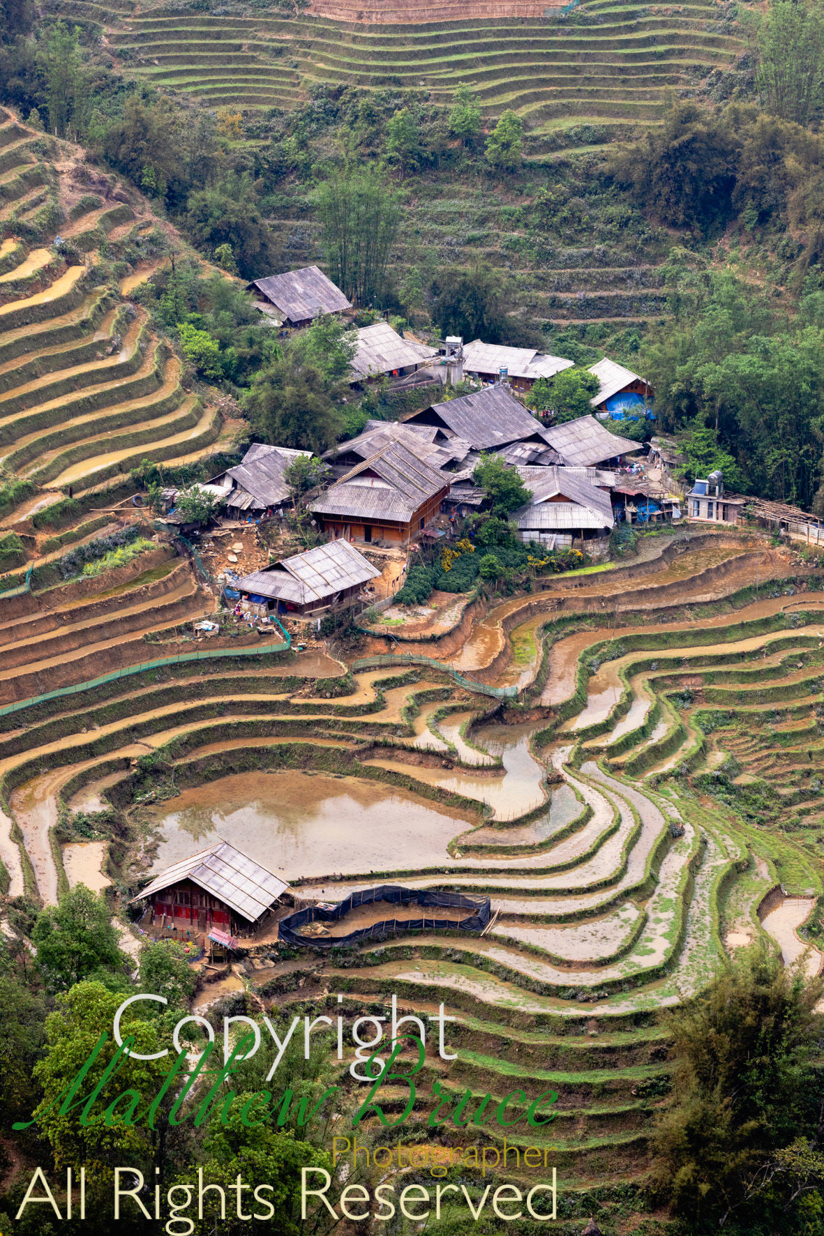 Rice terraces, Sa Pa, Vietnam