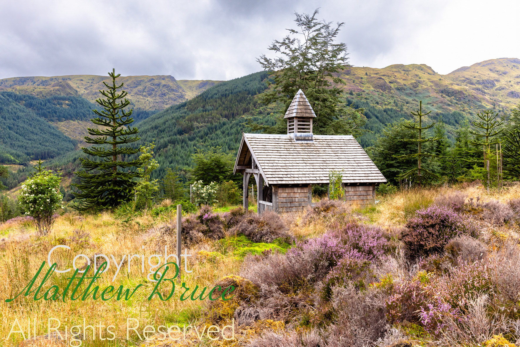 Benmore botanic gardens, Scotland