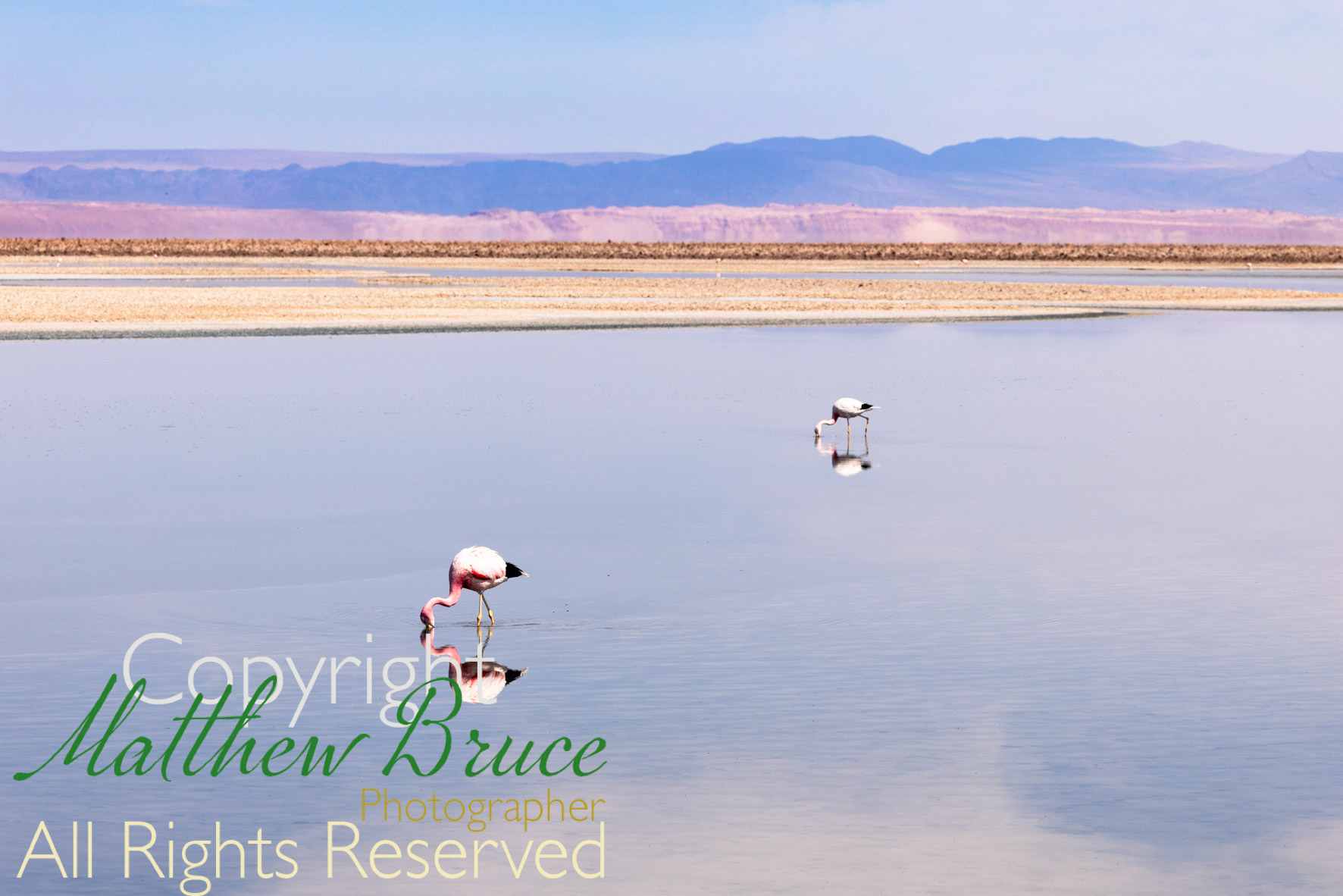 Laguna Chaxas, Atacama desert, Chile