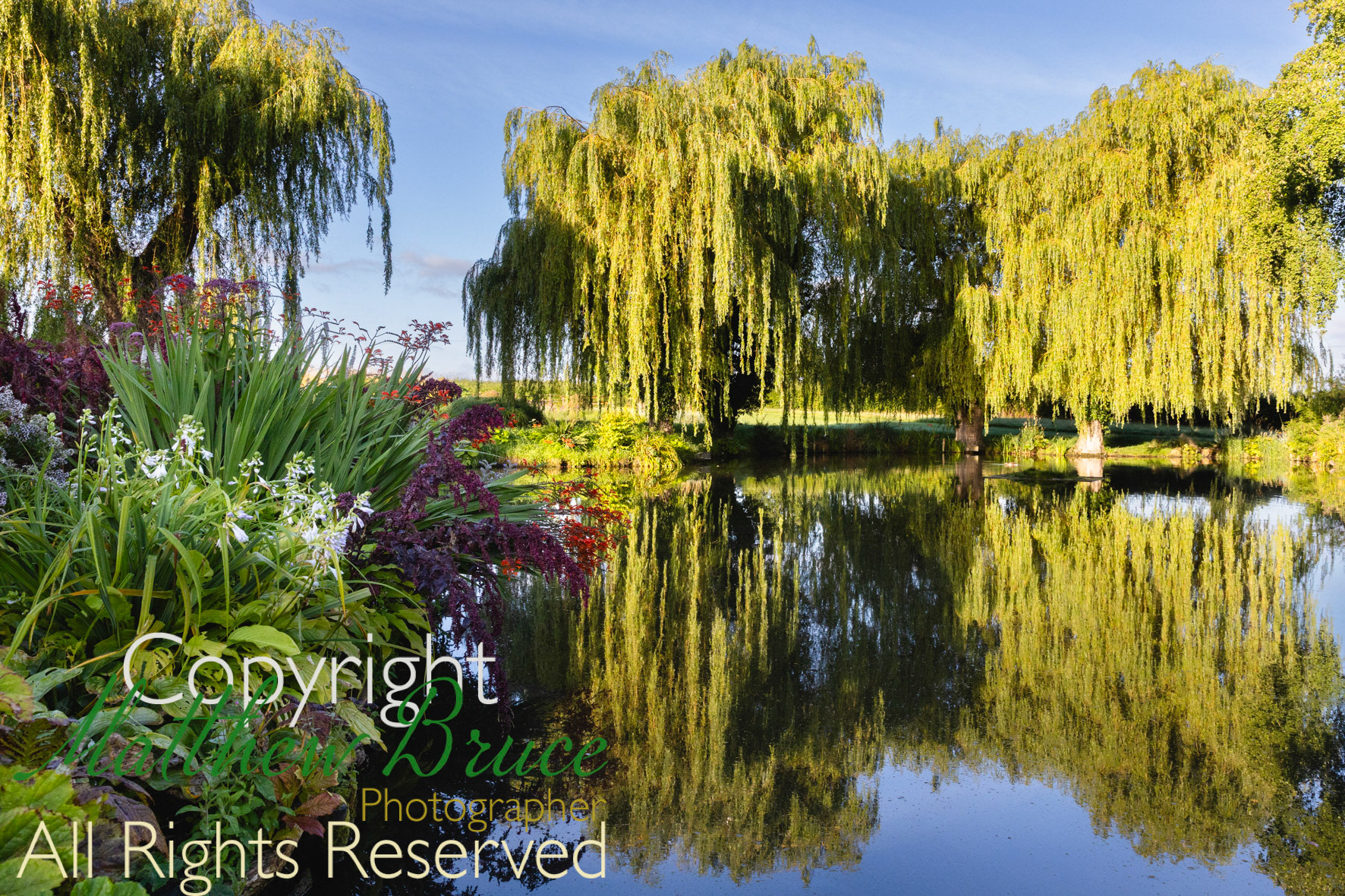 Oxfordshire water garden