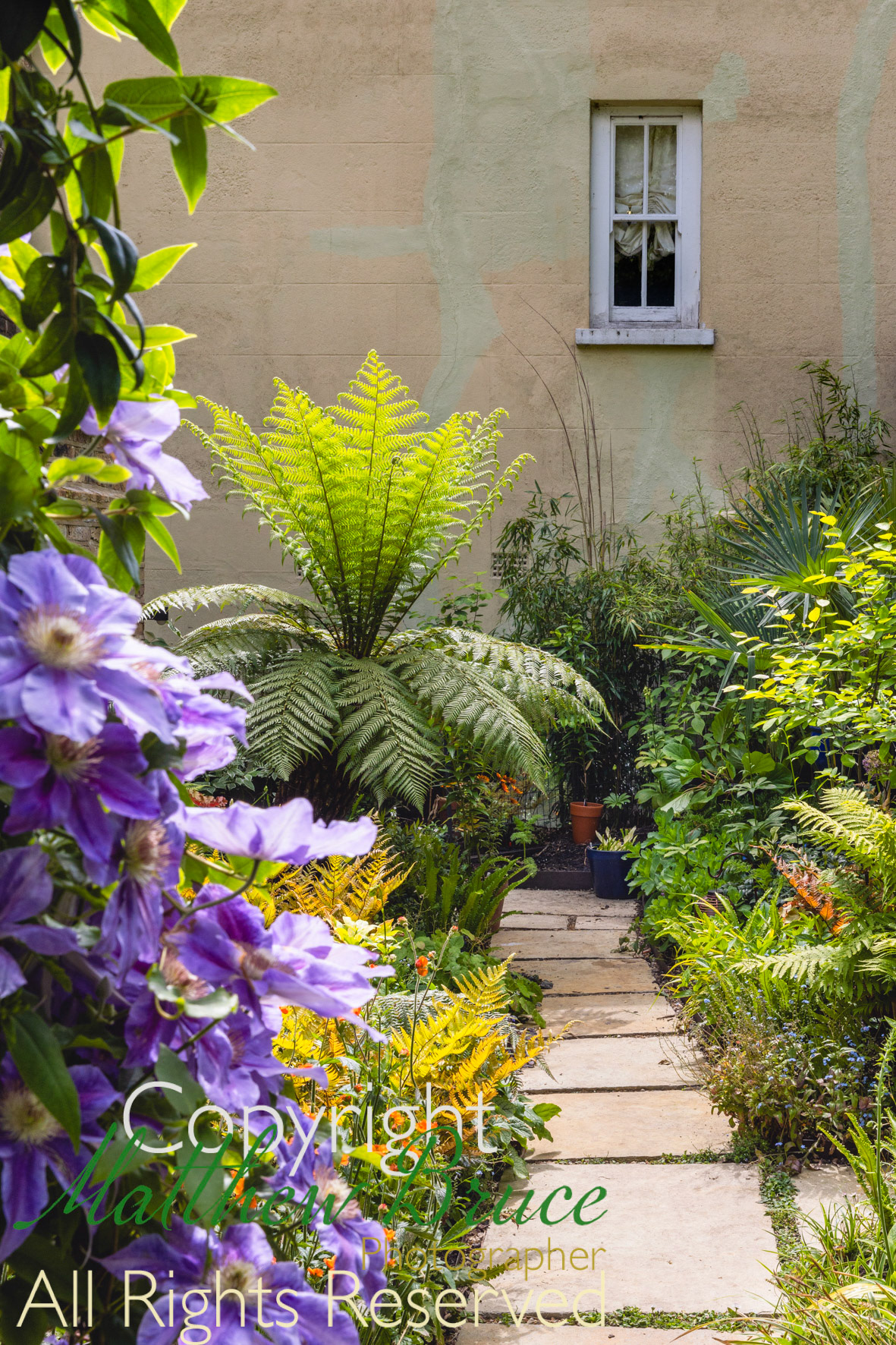 London suburban garden