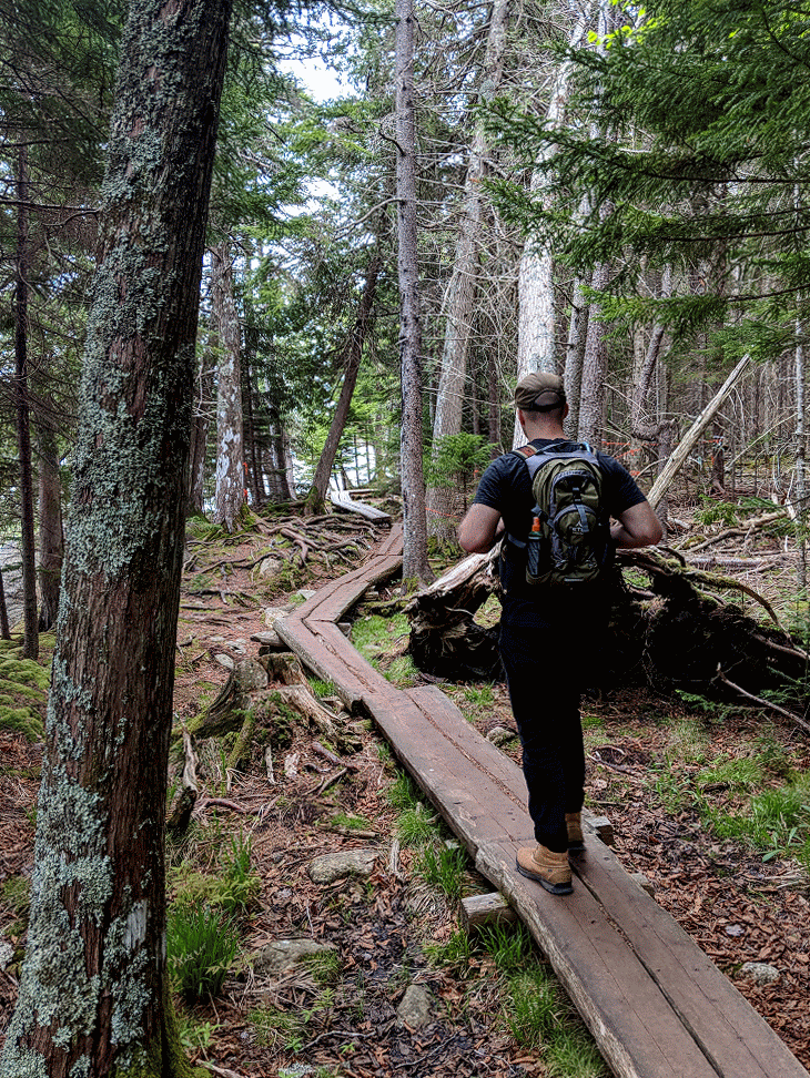 I love hiking and birding.