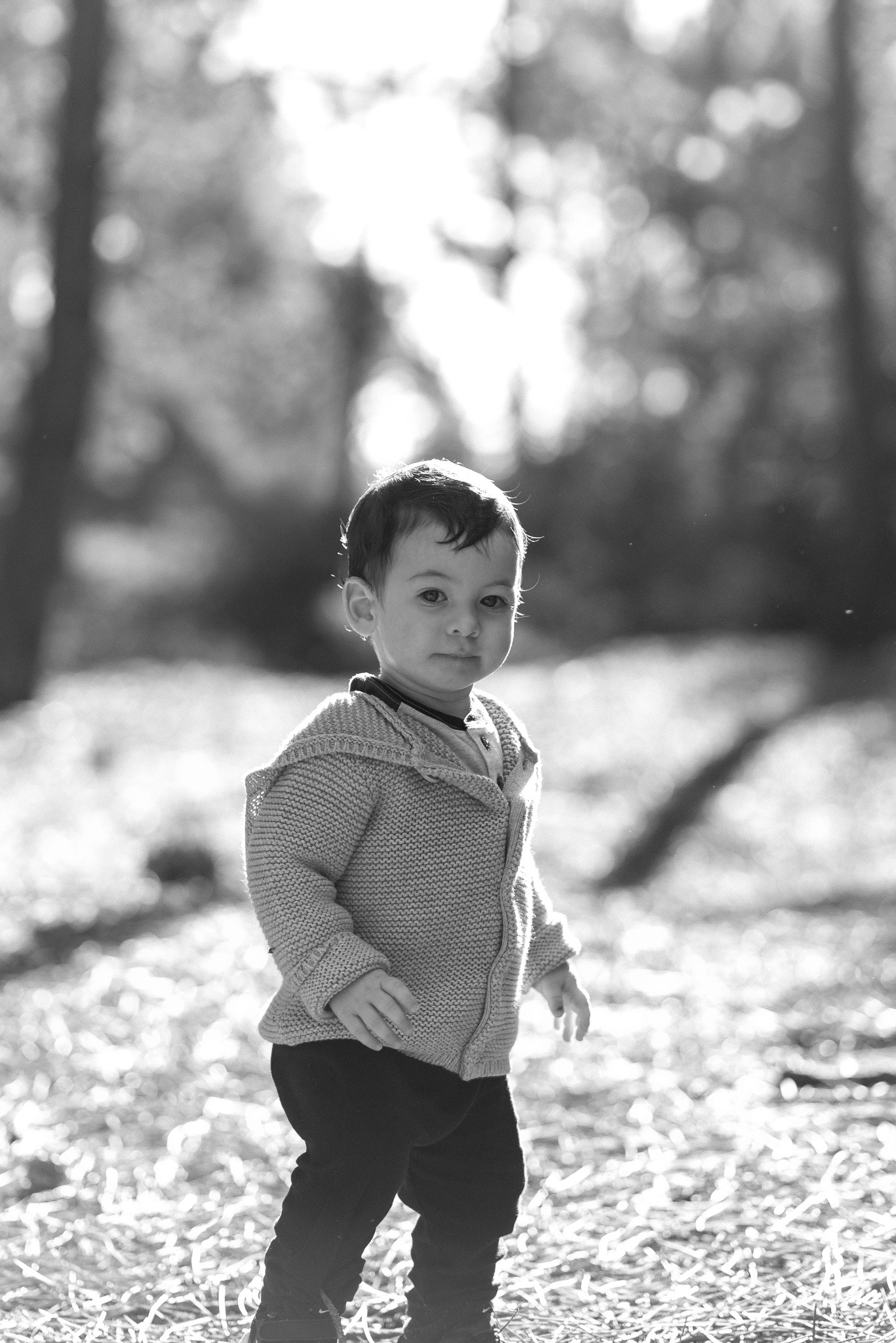 Book infantil Ciudad de la Costa, Pinar