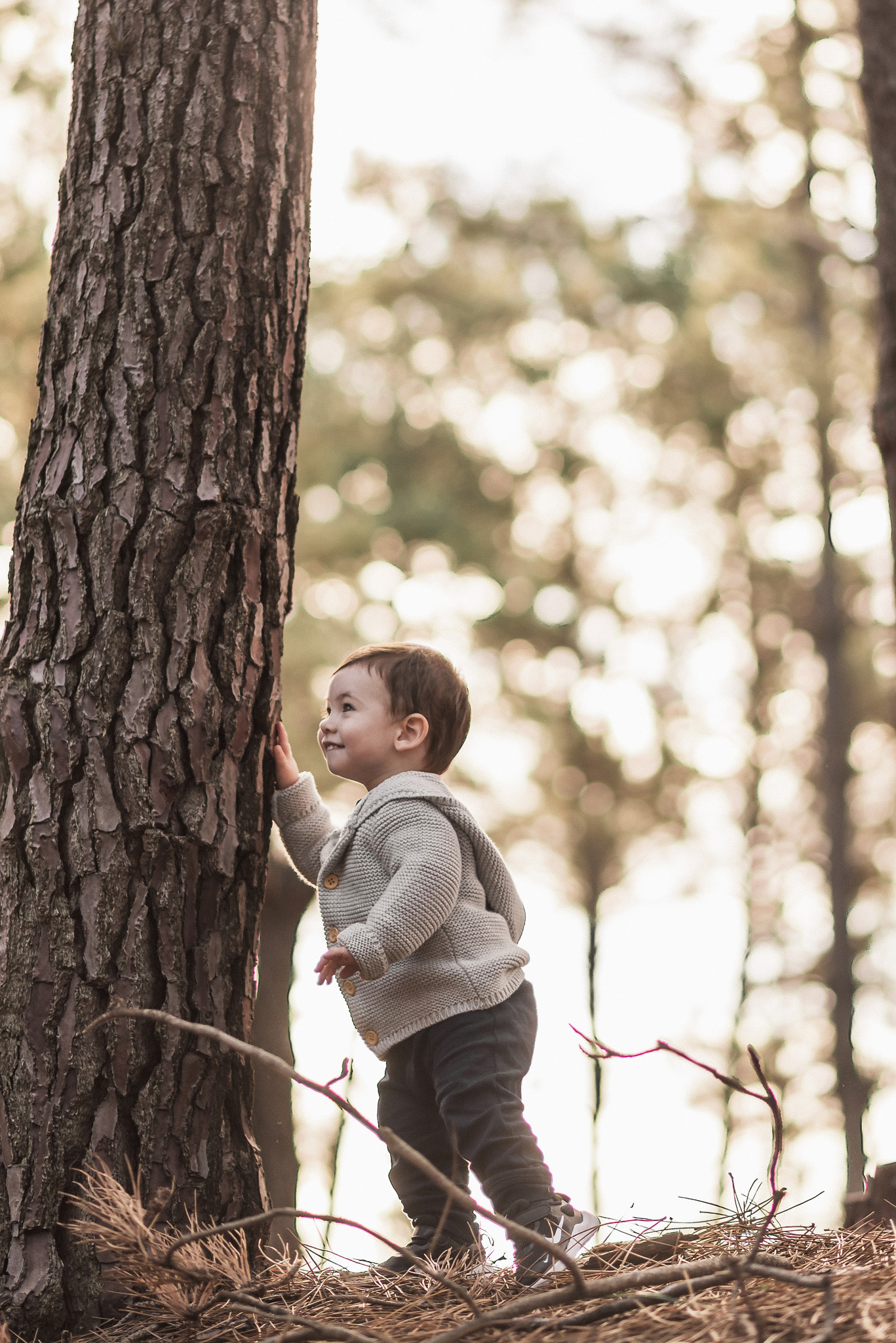Book infantil Ciudad de la Costa, Pinar