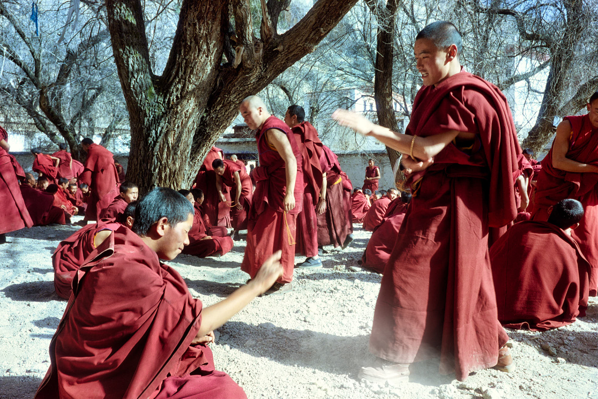 Tibet Sera Drepung Monastery - The monks debate and recite the Buddhist scriptures with great passion.
