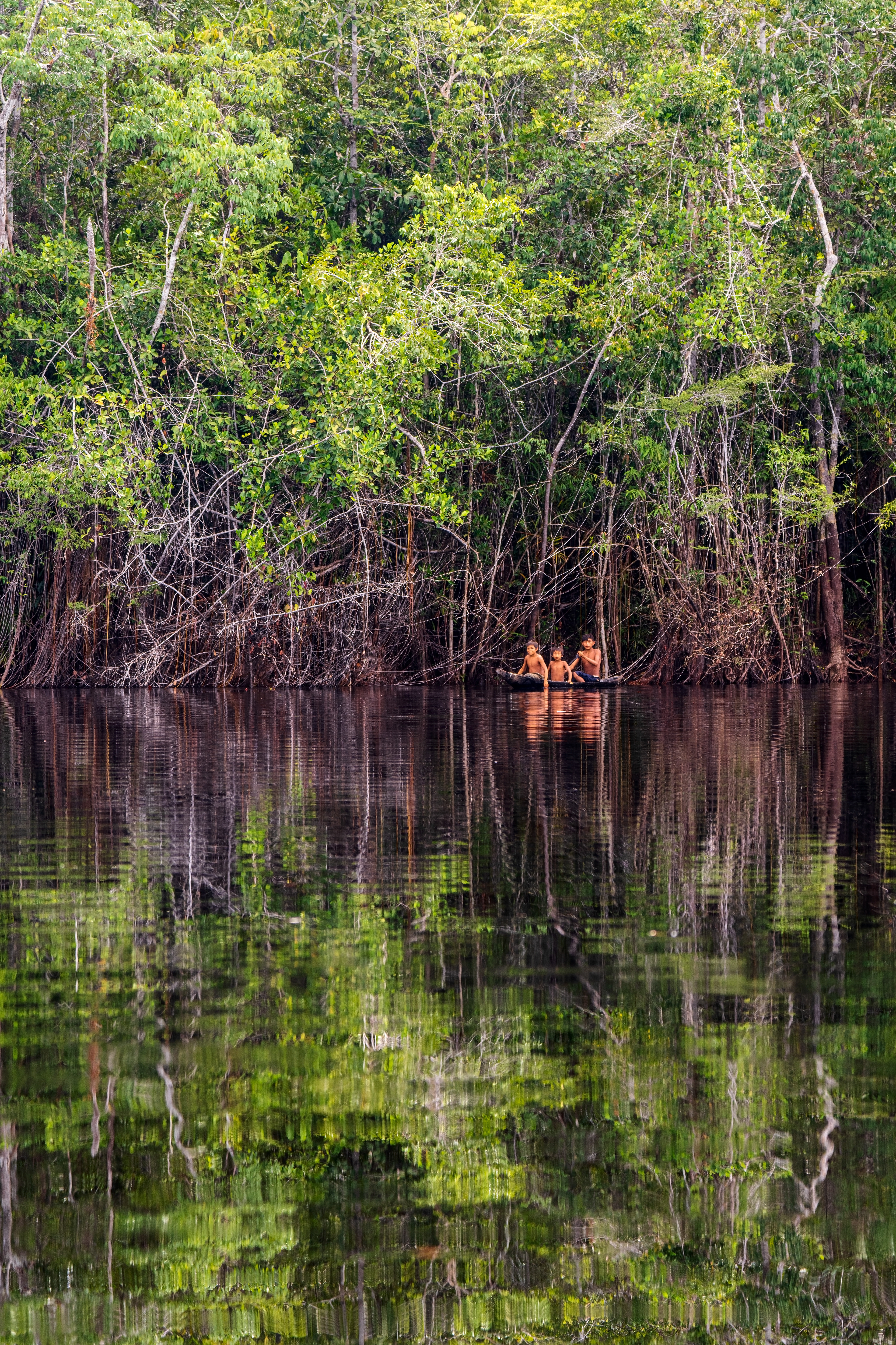 Yanomami, Venezuela, Amazon, dugout, river, Casiquiare