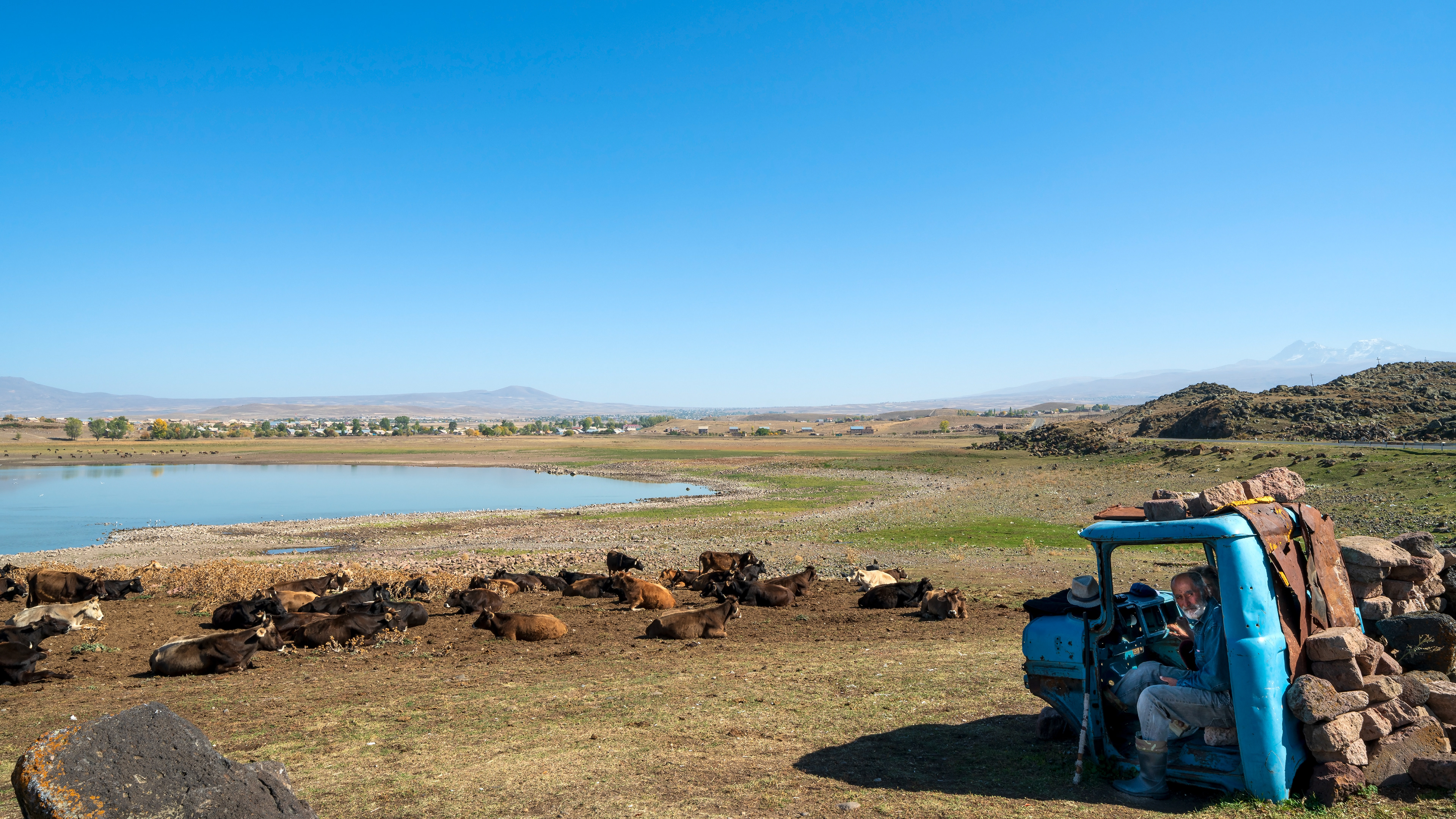 Couple sheltering from hot sun while herding their cows in Armenian countryside