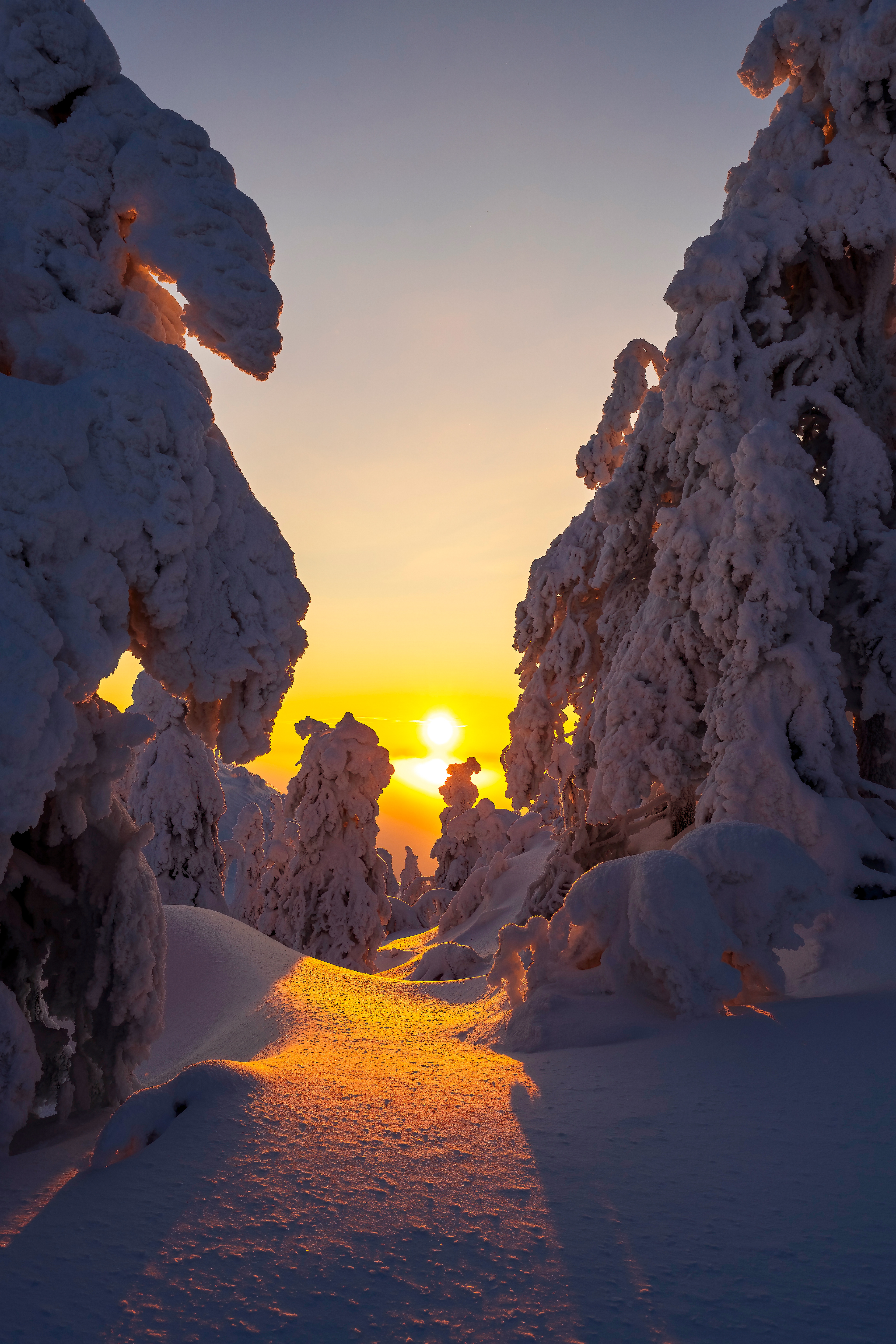 Kuusamo, Ruka, Rukahuippu, Lapland, winter, sun, cold