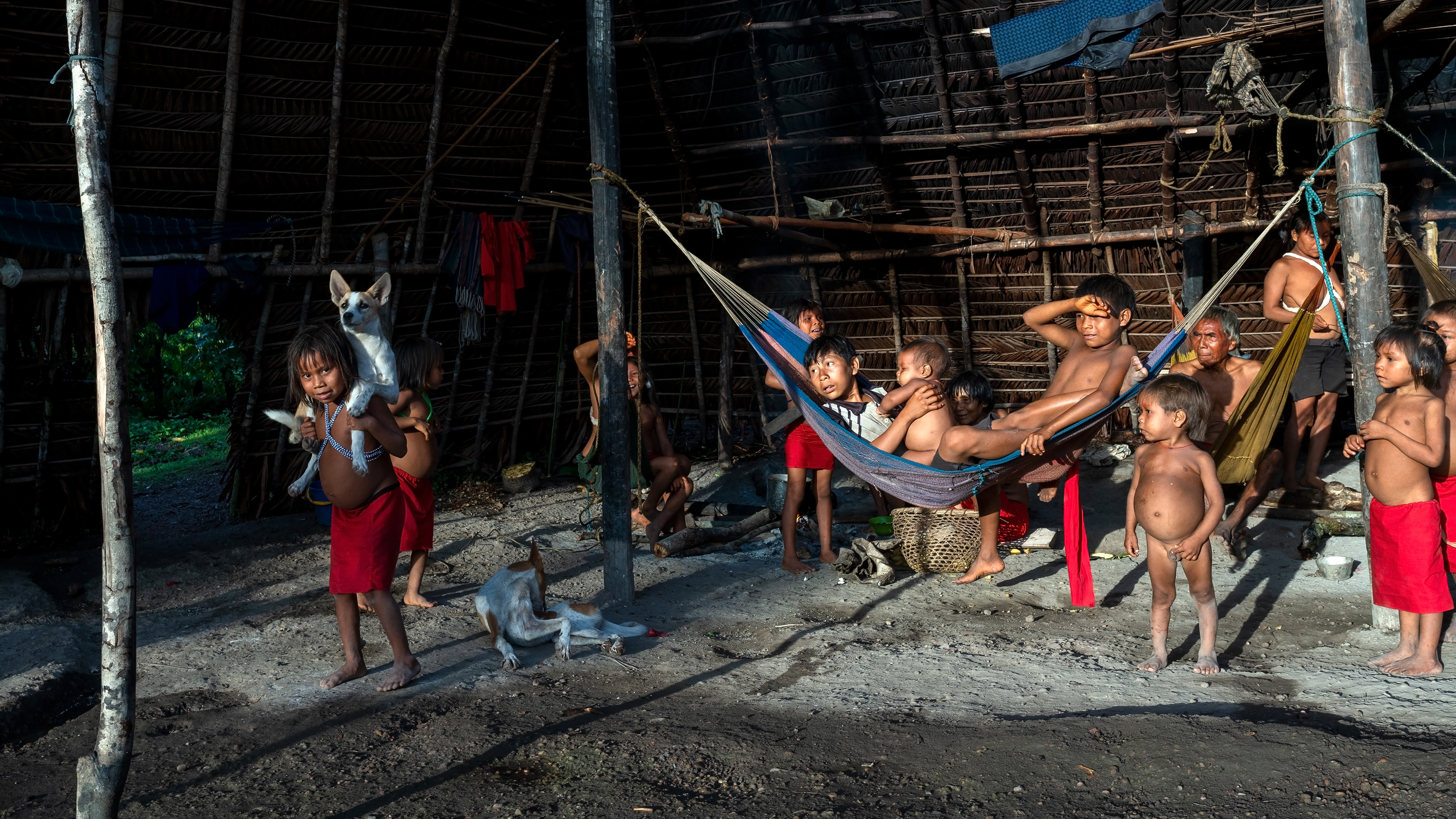 Yanomami, Venezuela, Amazon, family, Shabono