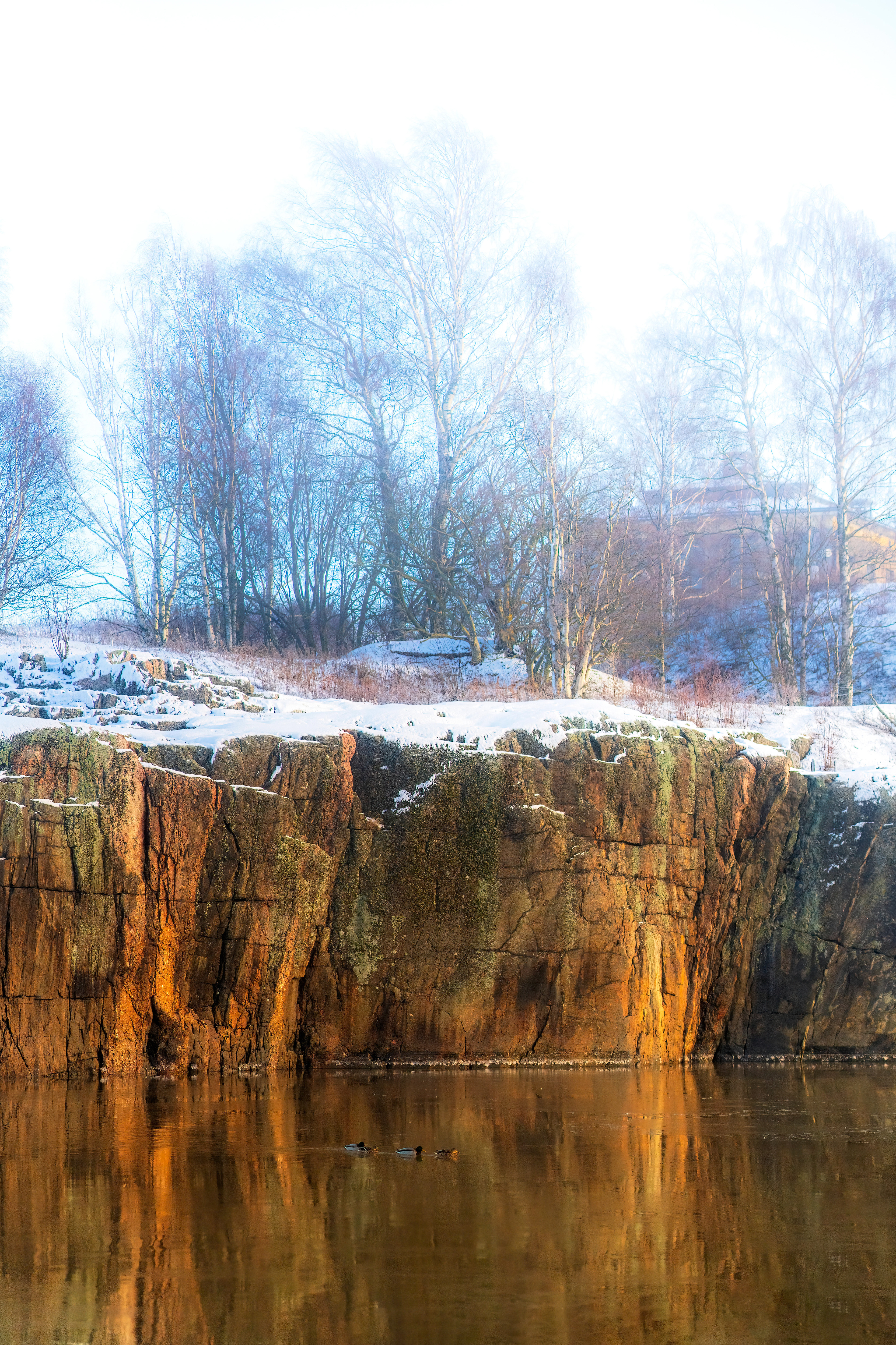 Helsinki, Finland, Spring, ducks, reflection, rocky, cliff, shore