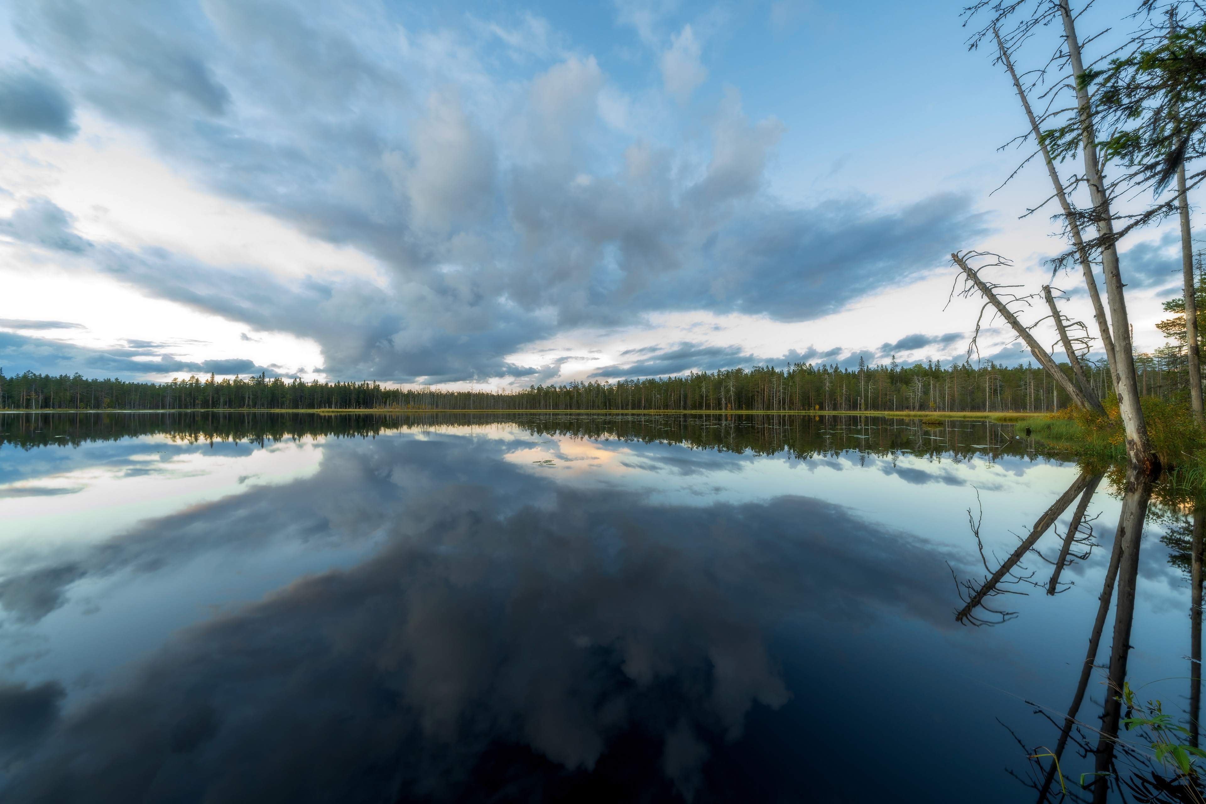 Autumn in Northern Karelia, Finland