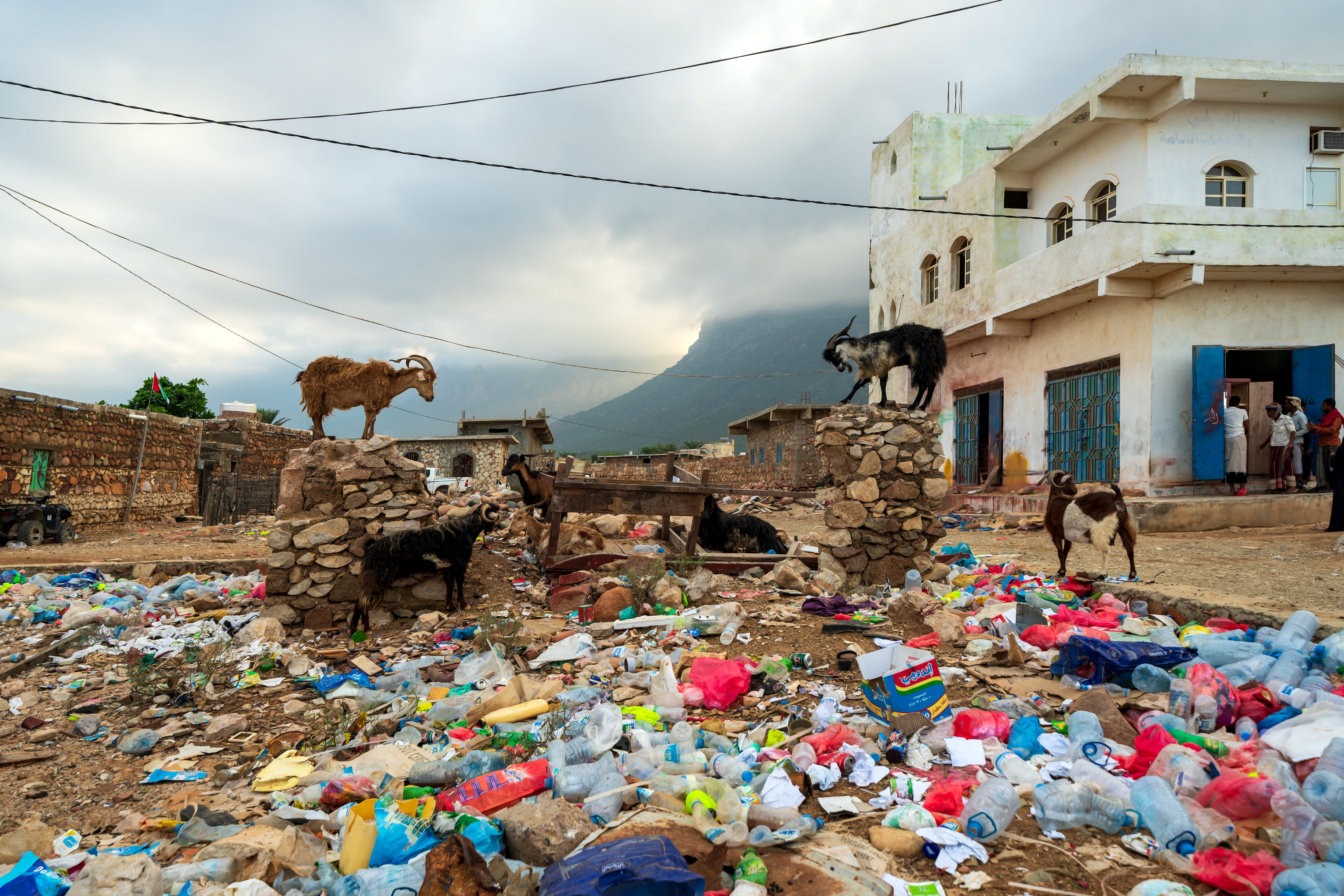 Hadibo, the capital of Socotra. Where people, there trash and goats.