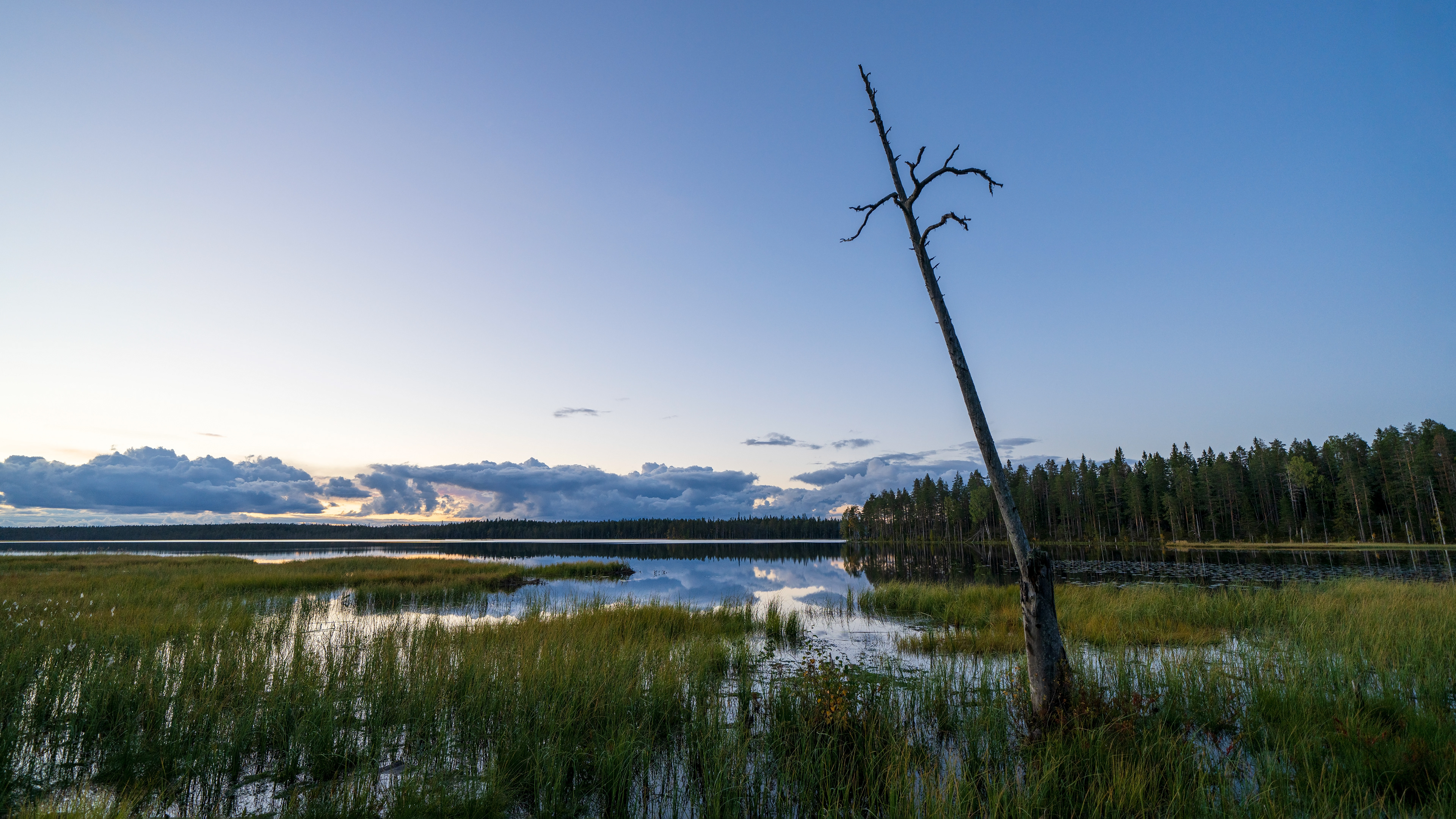 Late summer in Northern Karelia, Finland