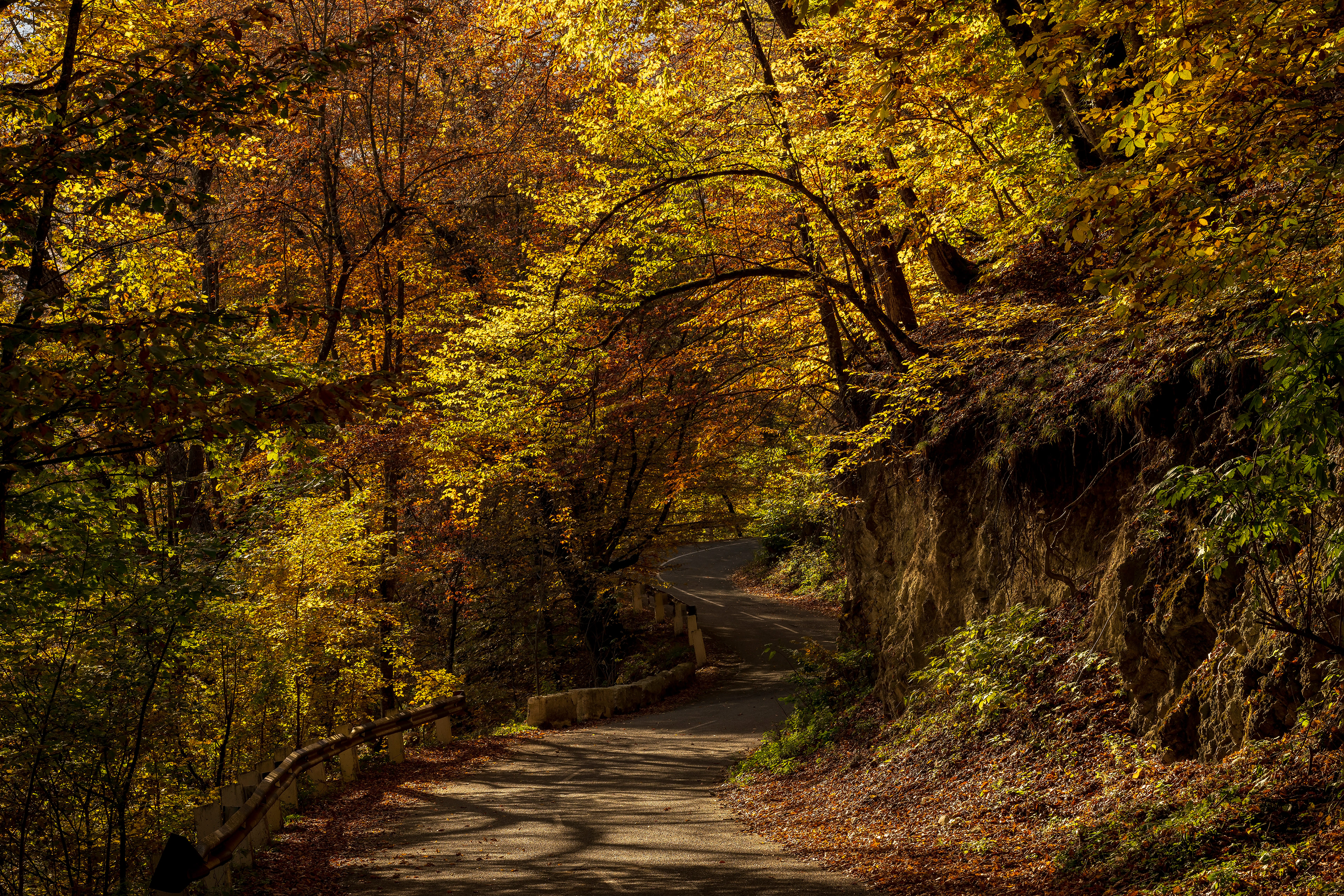 Fall colors along winding country road leading to one of the very many mediaval monasteries of Armenia