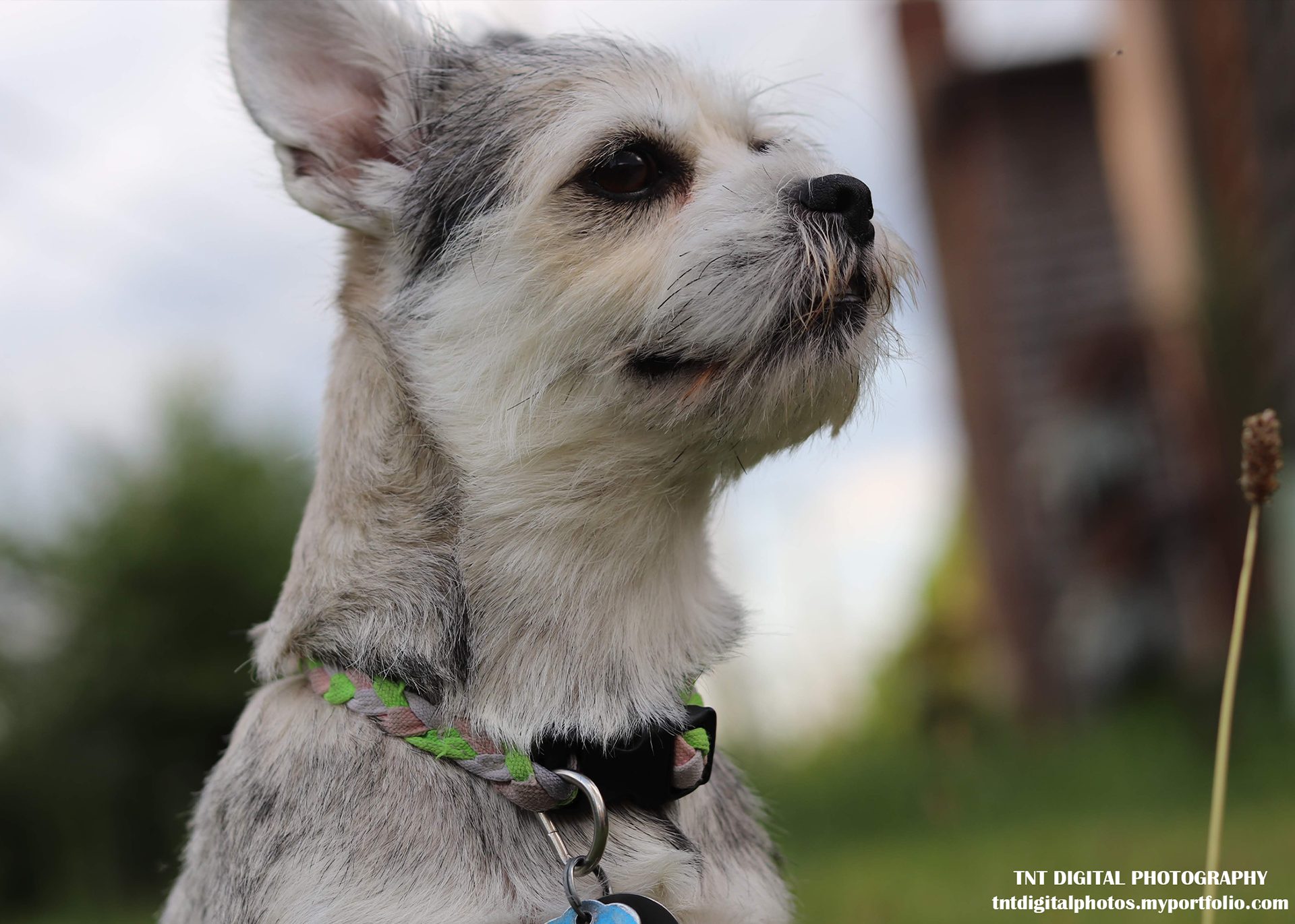 1/250 - f/3.5 - ISO 100 - 50mm
