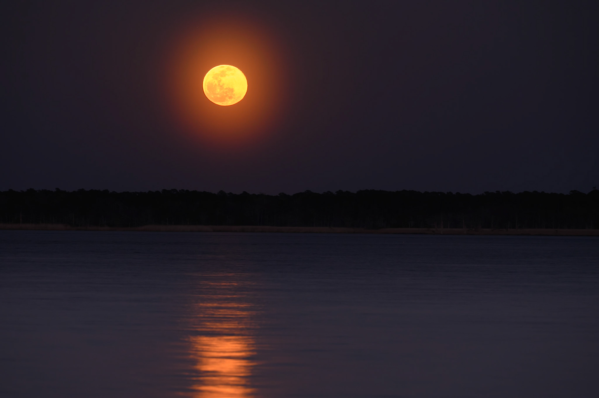 Full rising over the Winyah Bay