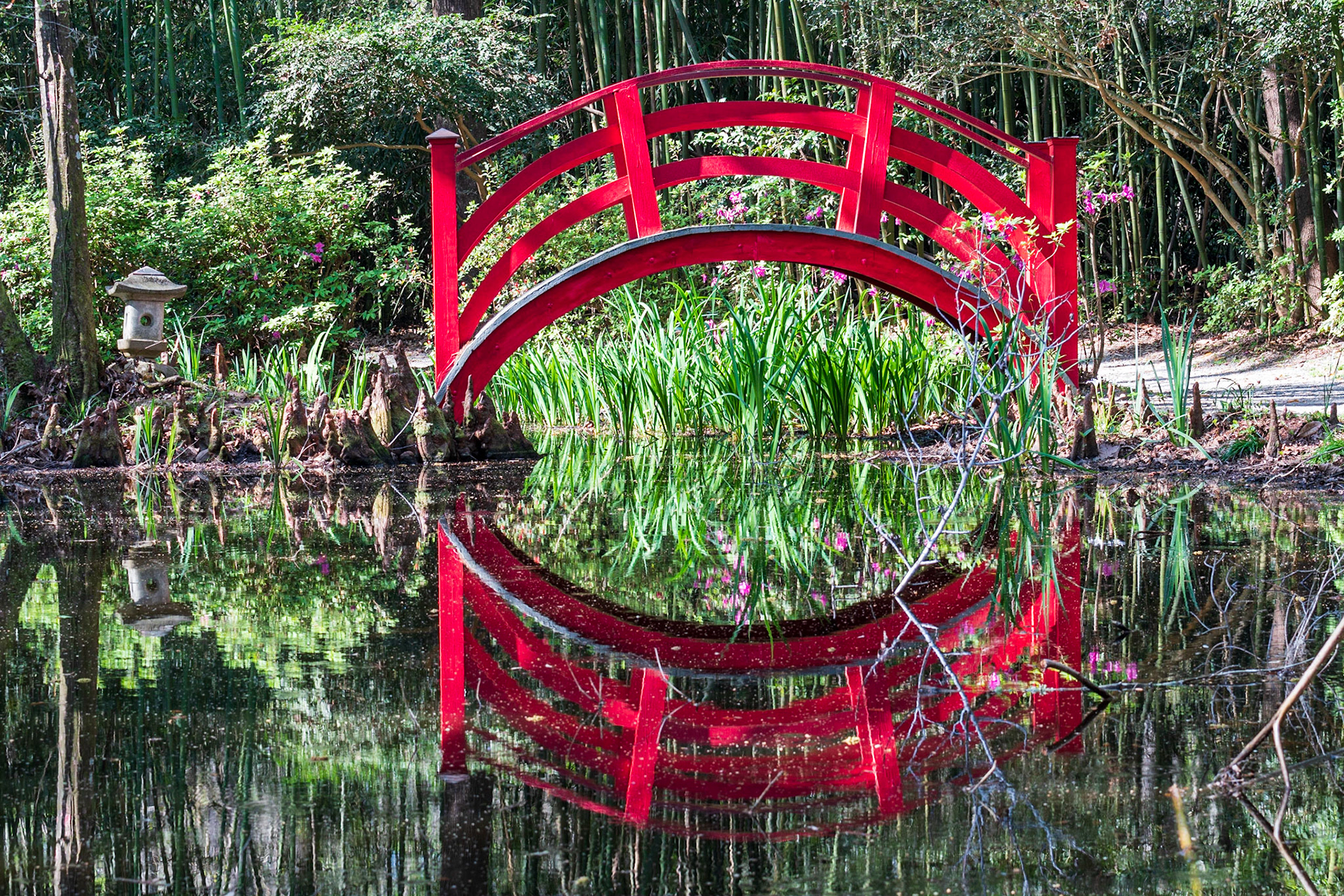 The red bridge in the bamboo forest