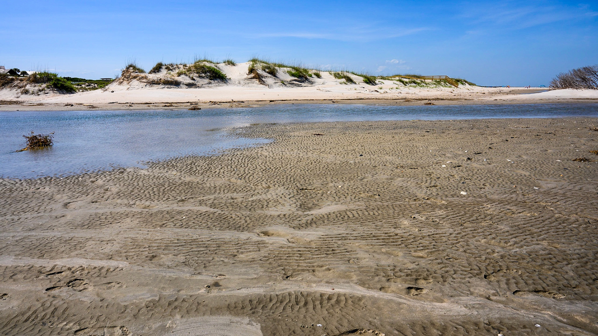 Tidal Pool on Bald Head Island at Cape Fear