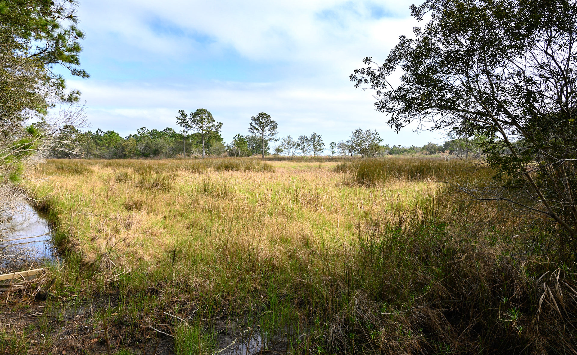 South Tibwin Trail