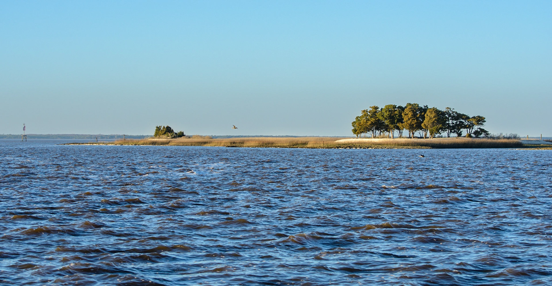 Island in the Winyah Bay