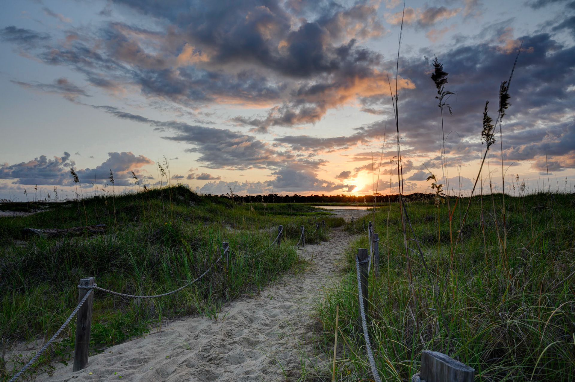 Bald Head sunrise-The path to the sun
