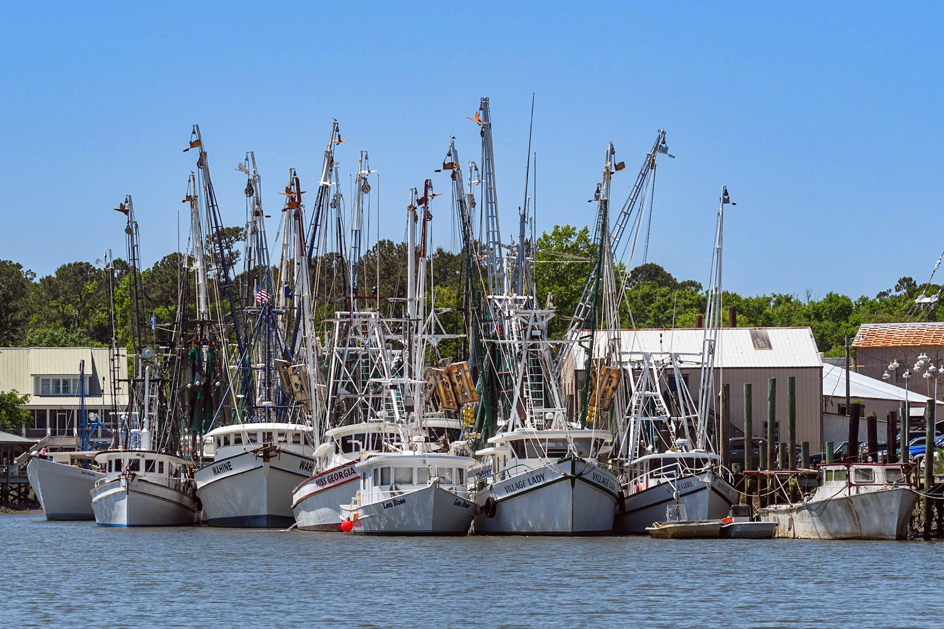The McClellanville shrimp fleet