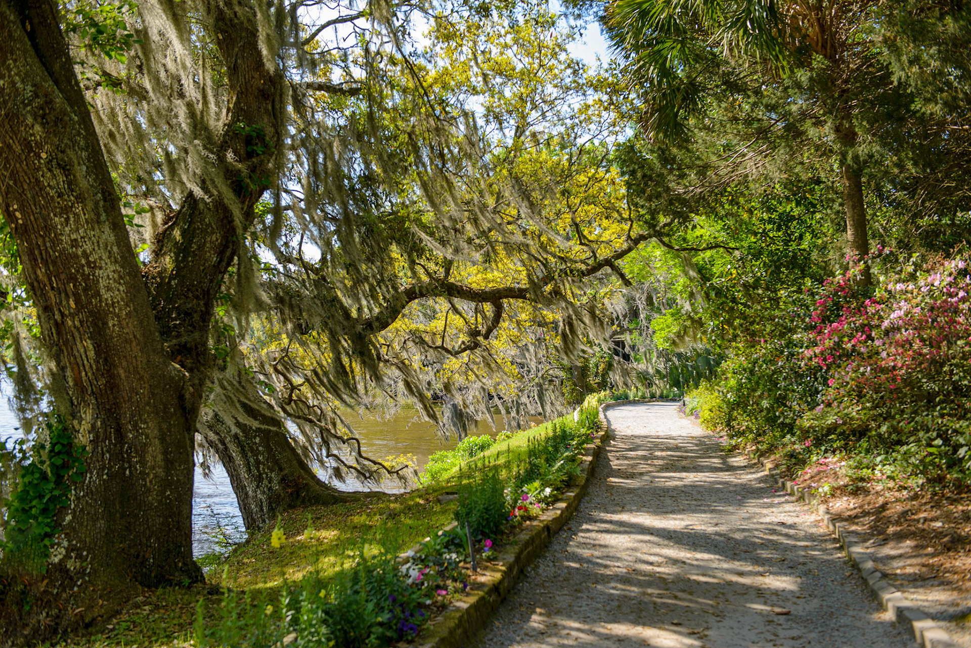 Path by the Ashley River