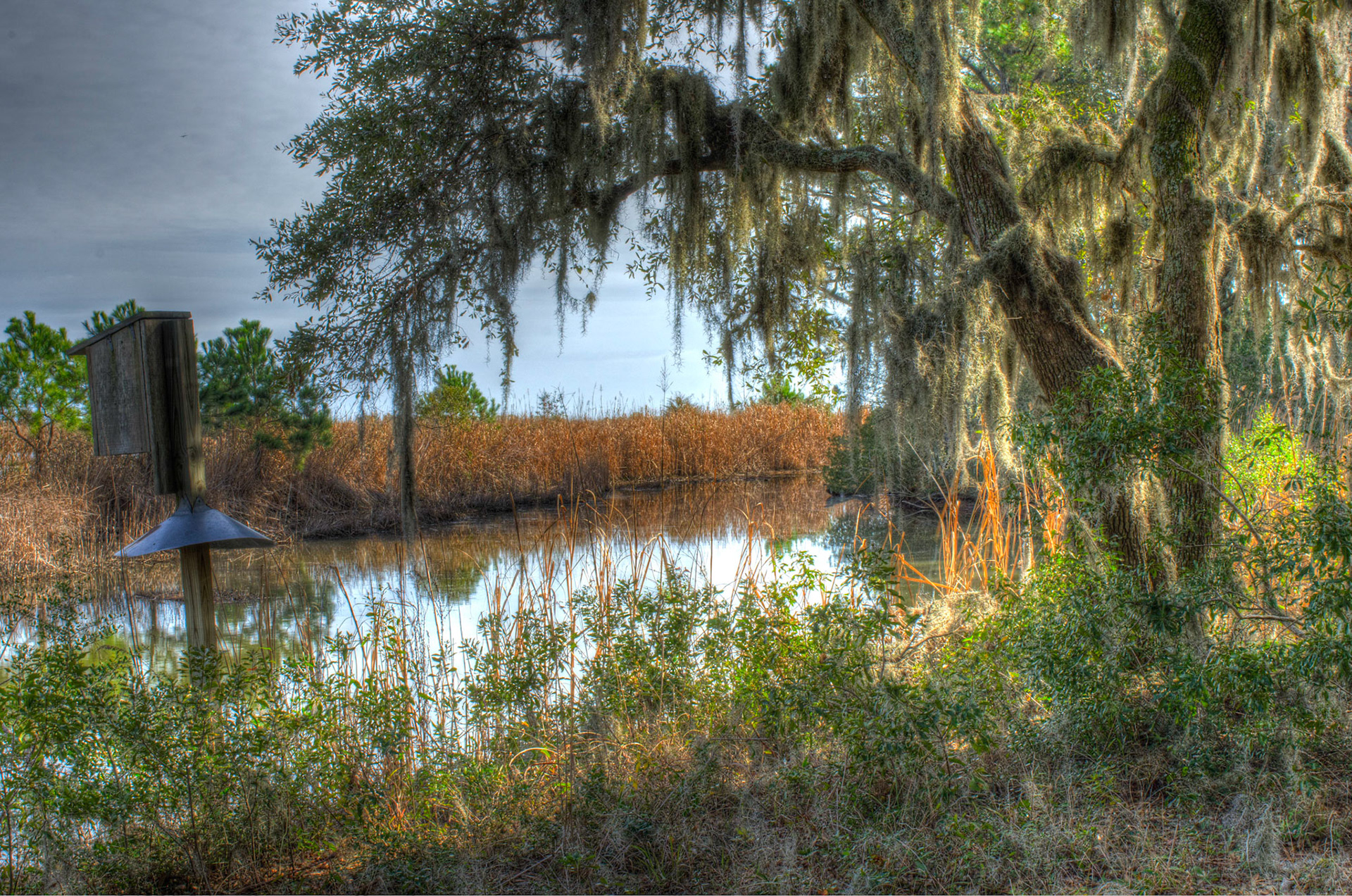 Impoundment at Santee Coastal Reserve