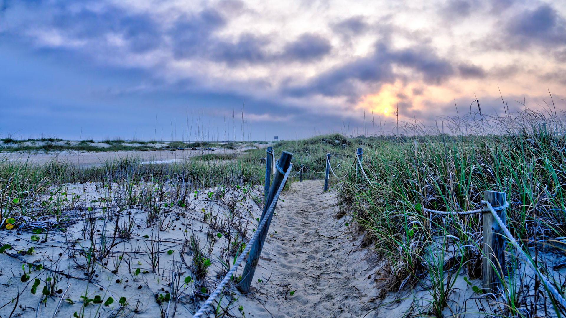 Bald Head Sunrise