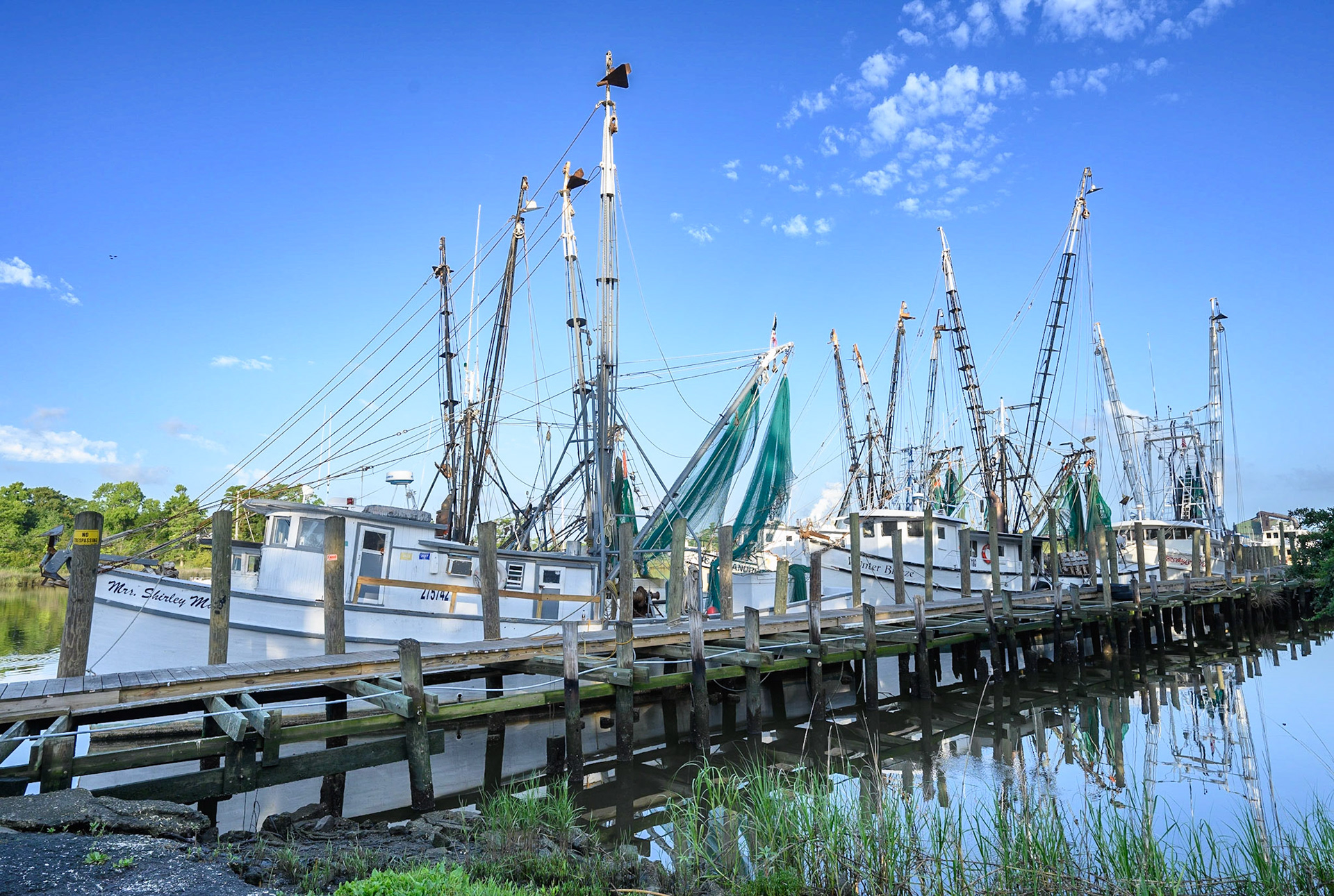 The shrimp fleet at Independent Seafood